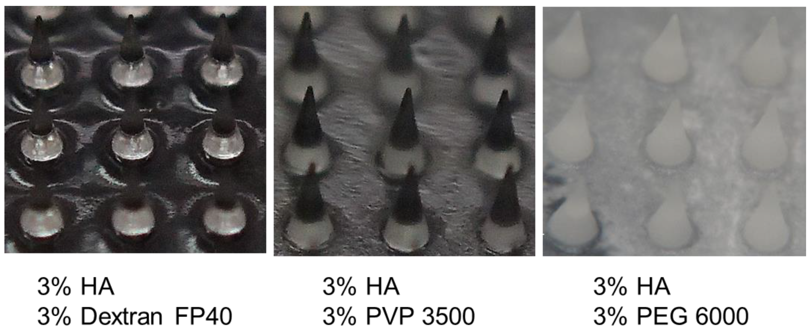 Pharmaceutics 16 01280 g008