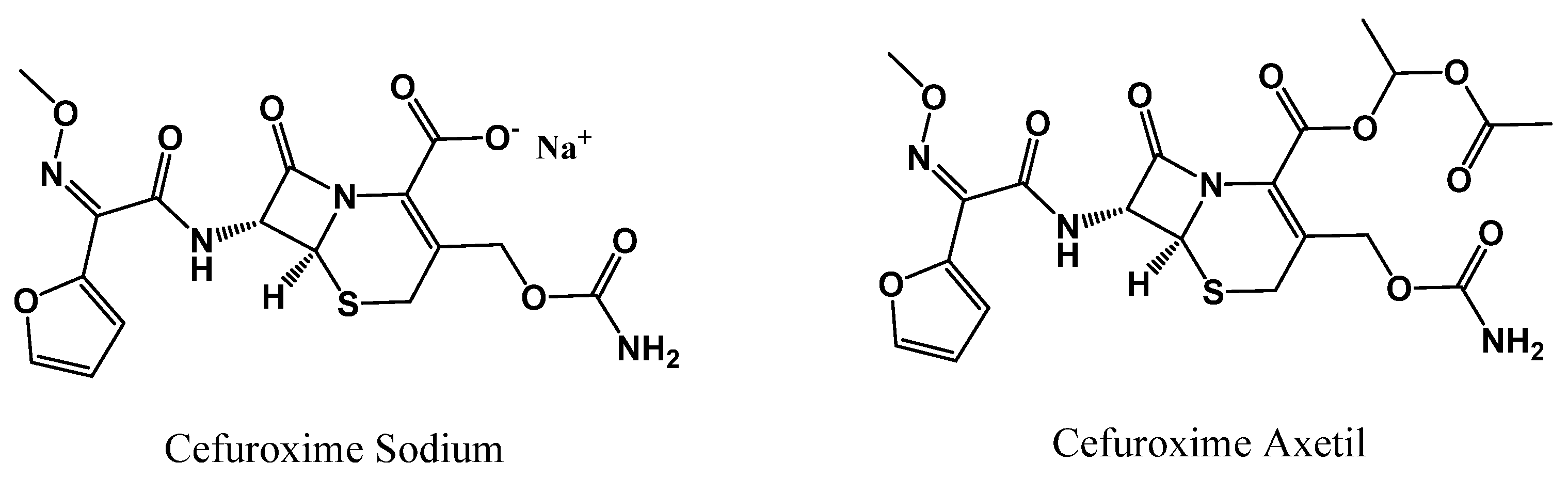 Pharmaceutics 16 01291 g001