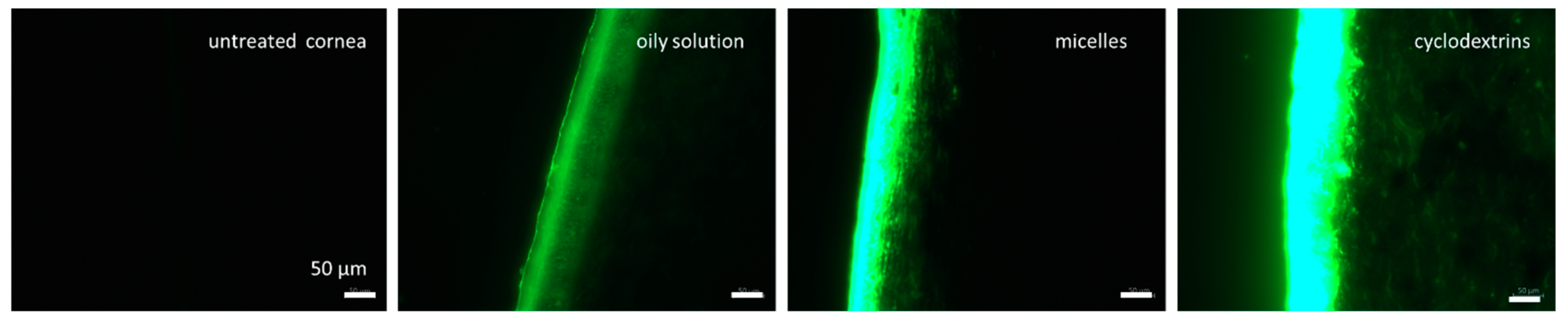 Pharmaceutics 16 01302 g008