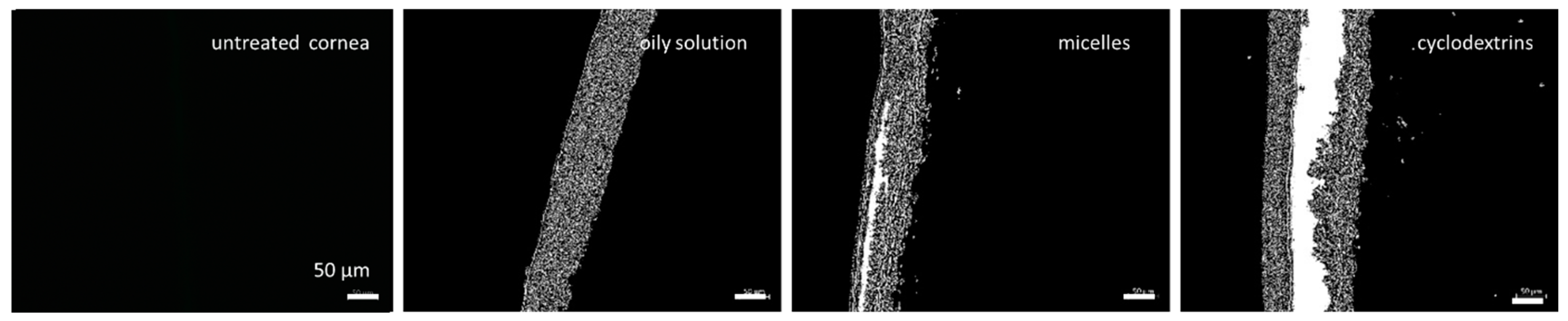 Pharmaceutics 16 01302 g009