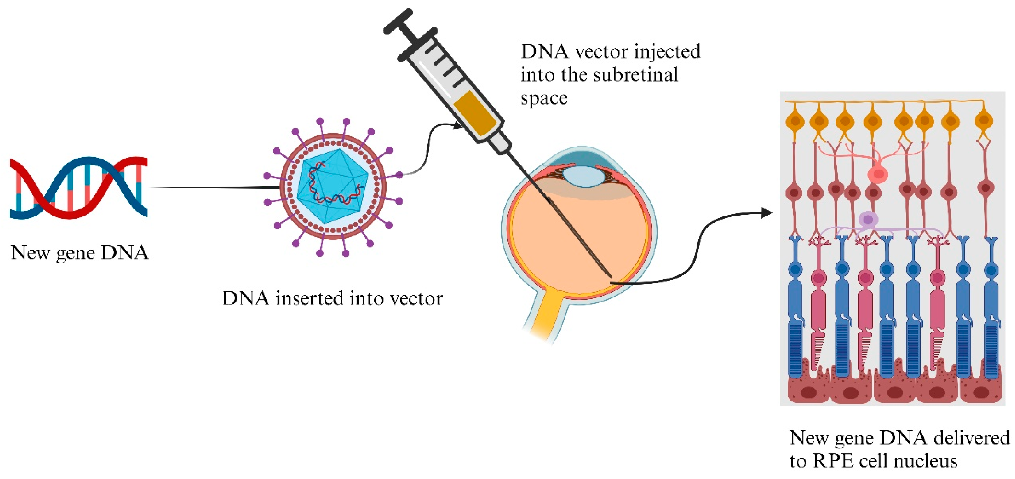 Pharmaceutics 16 01325 g005