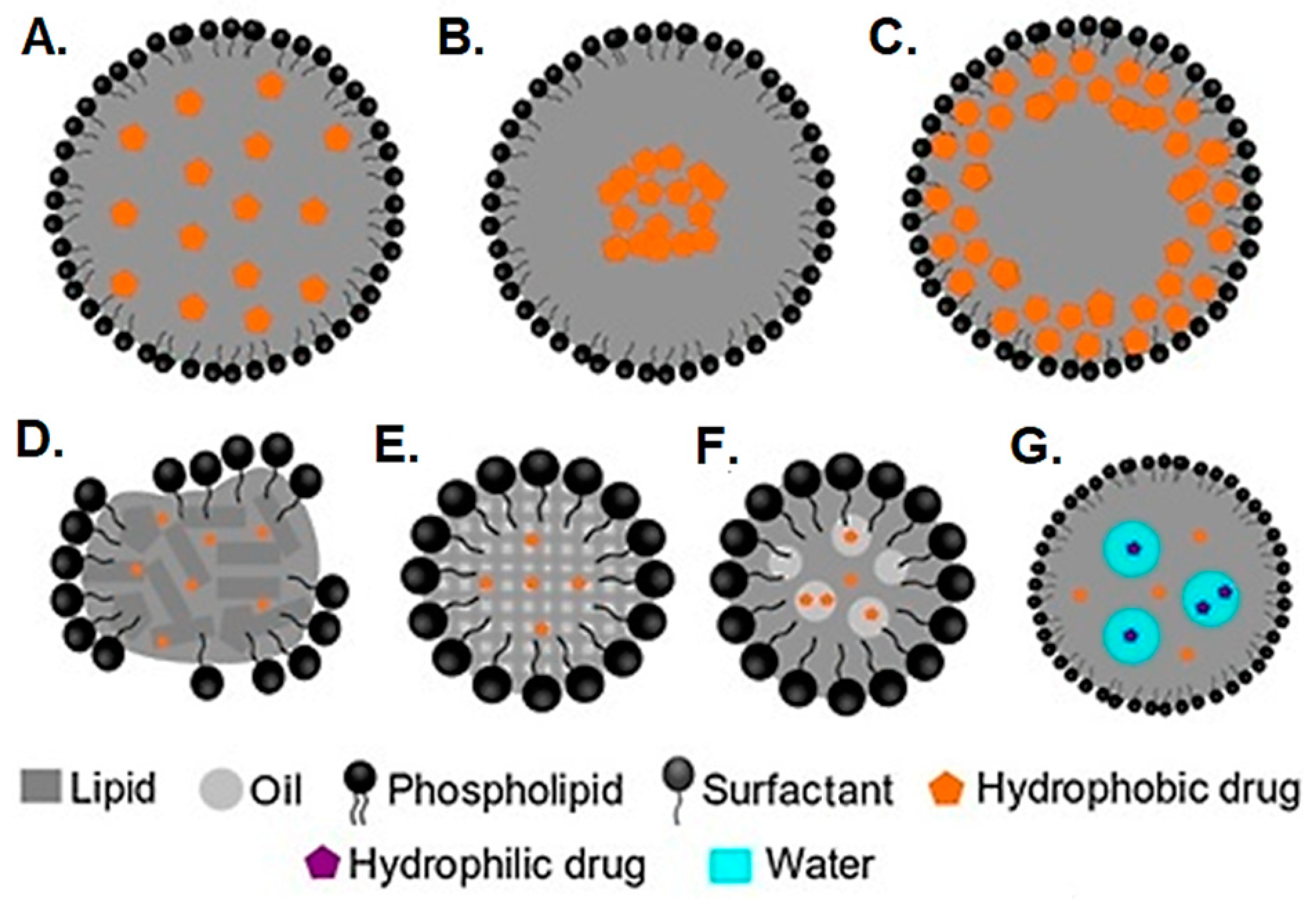 Pharmaceutics 16 01376 g002