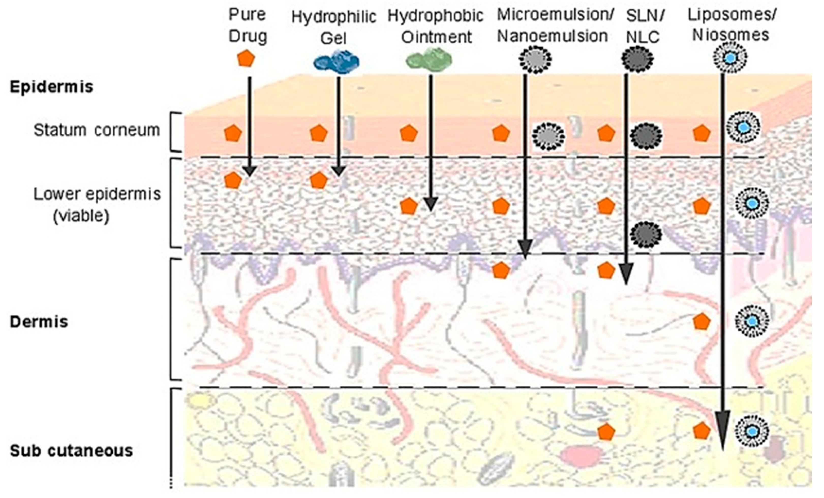 Pharmaceutics 16 01376 g004