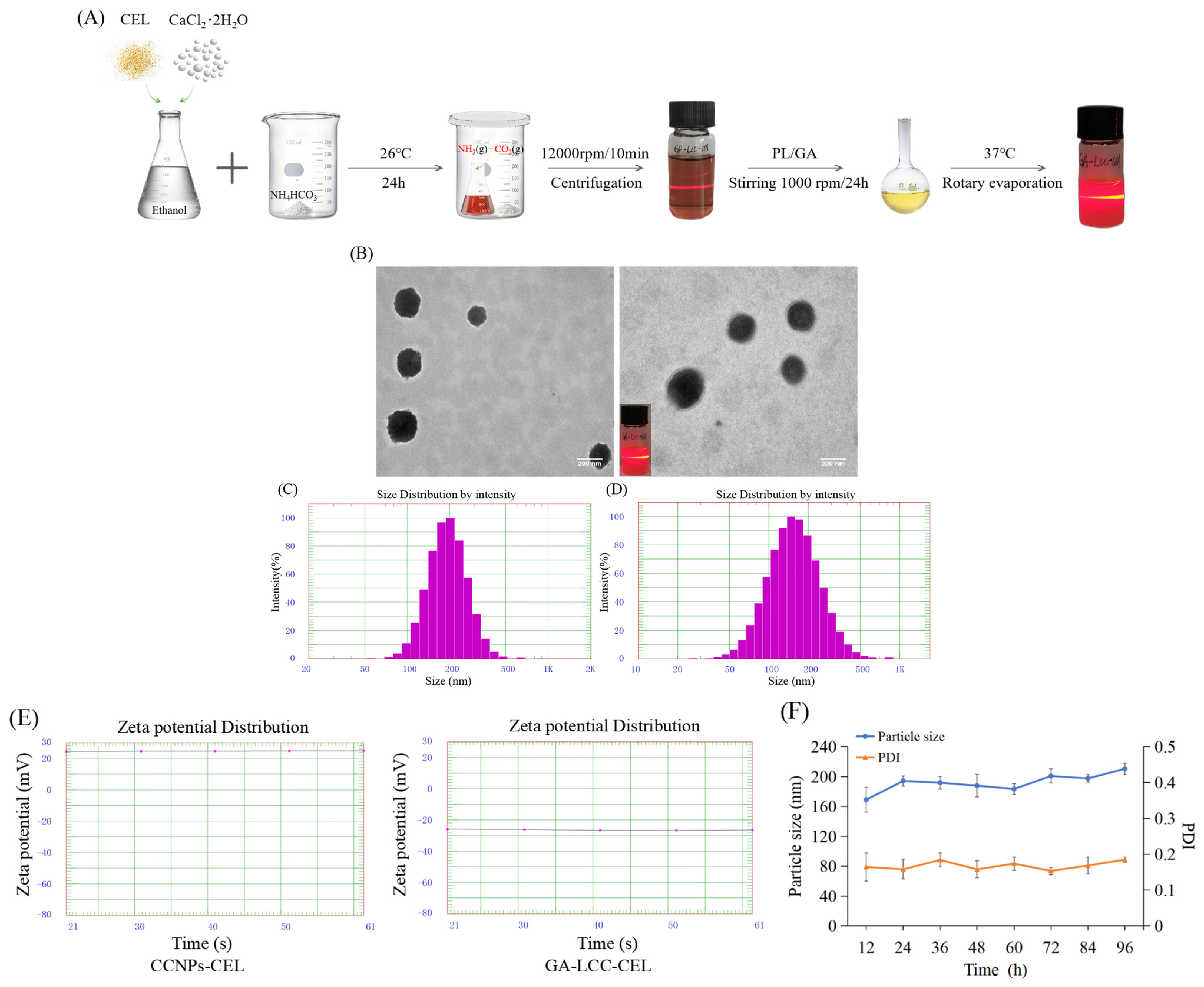 Pharmaceutics 16 01382 g001