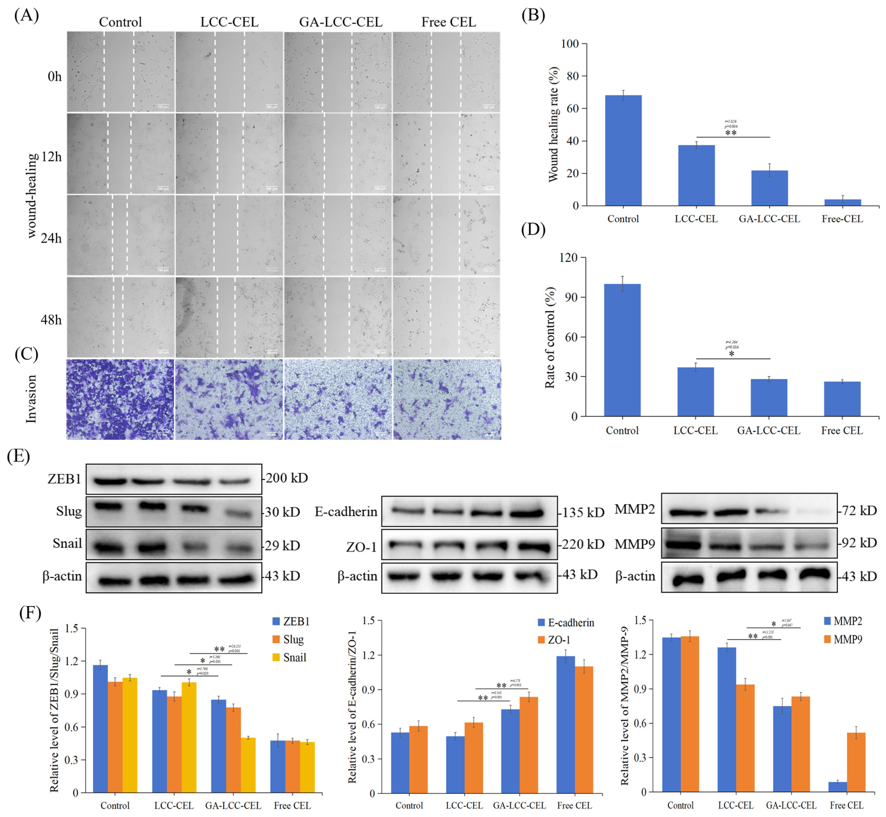Pharmaceutics 16 01382 g006