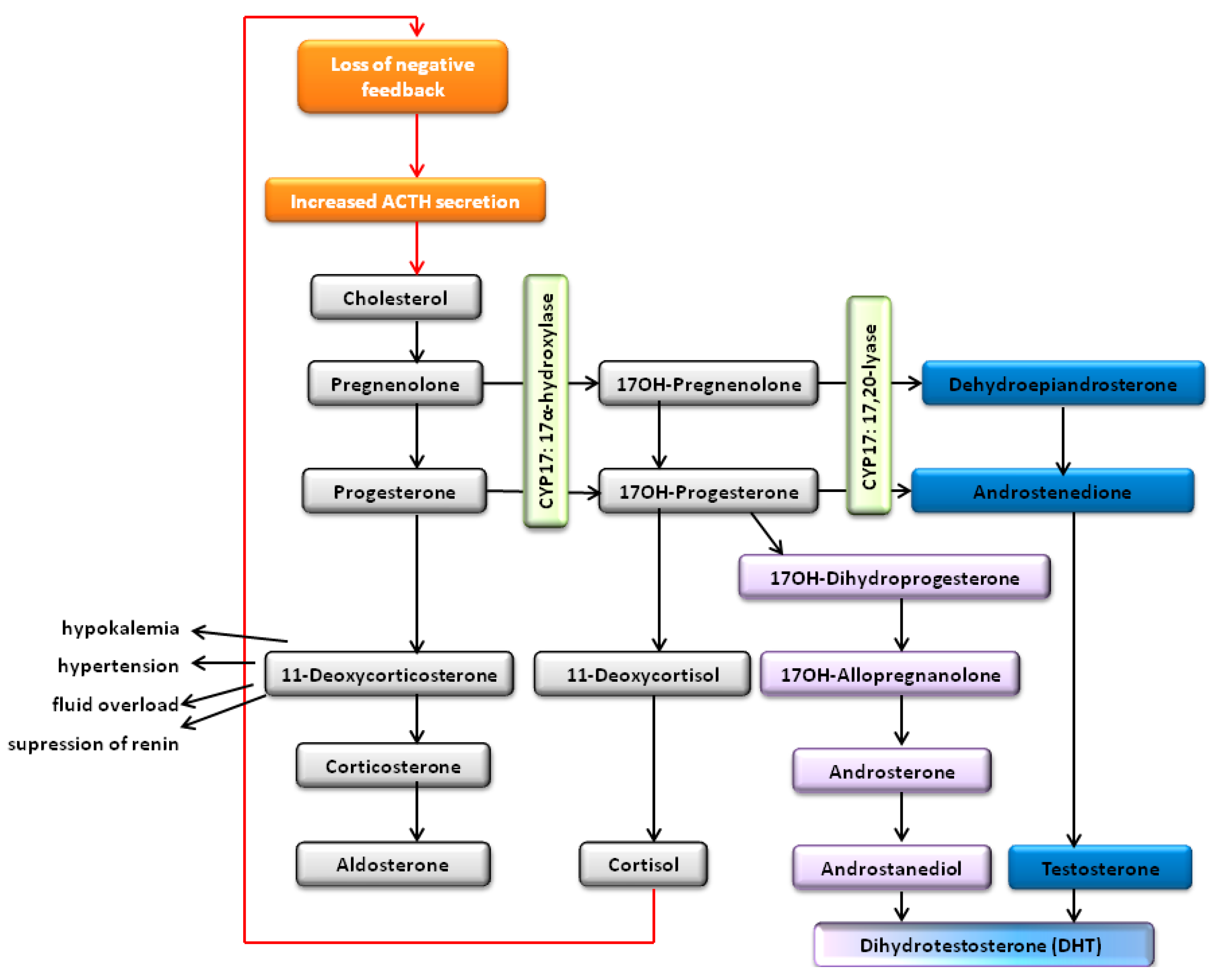 Pharmaceutics 16 01401 g007