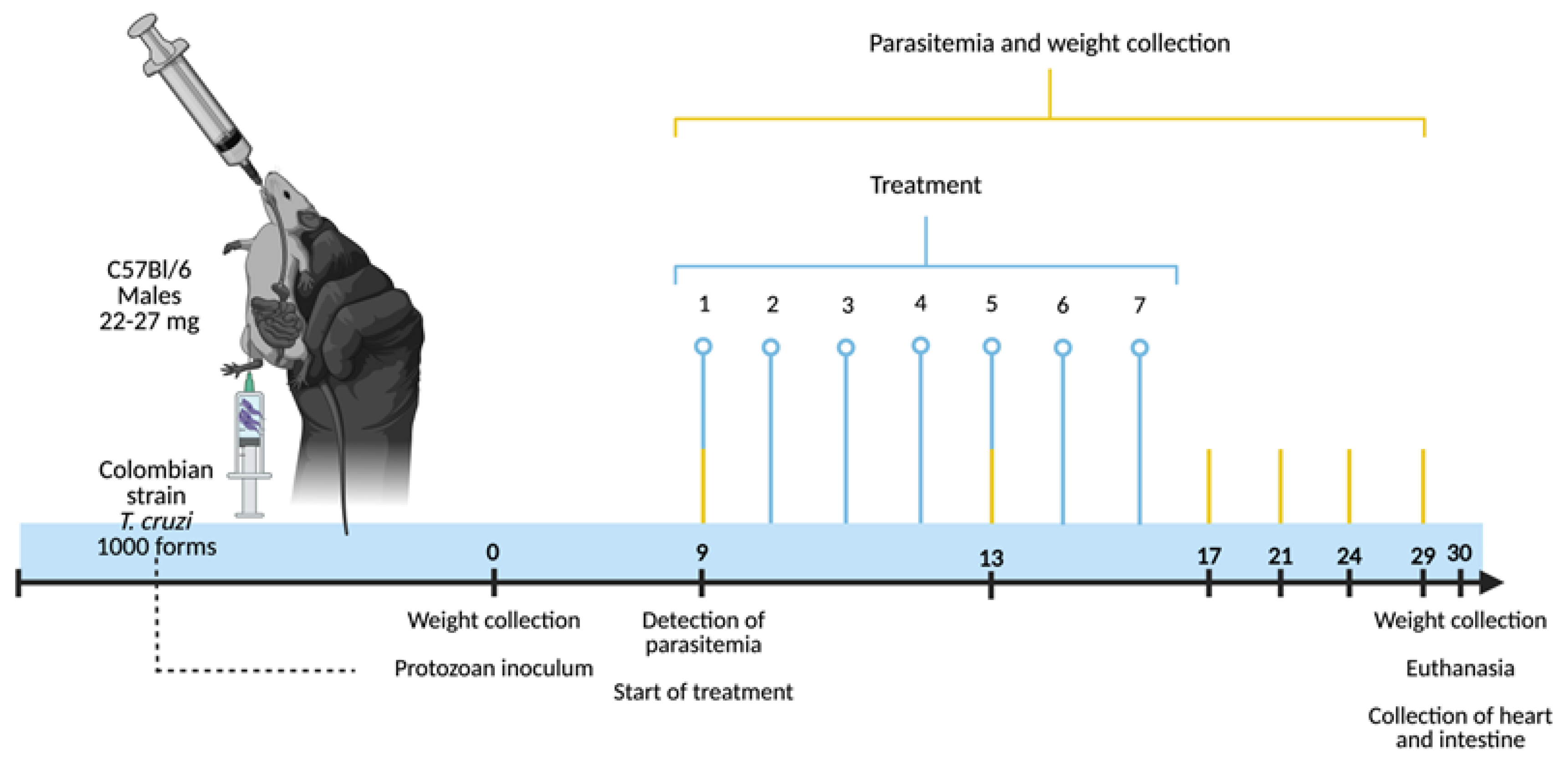 Pharmaceutics 16 01415 g001