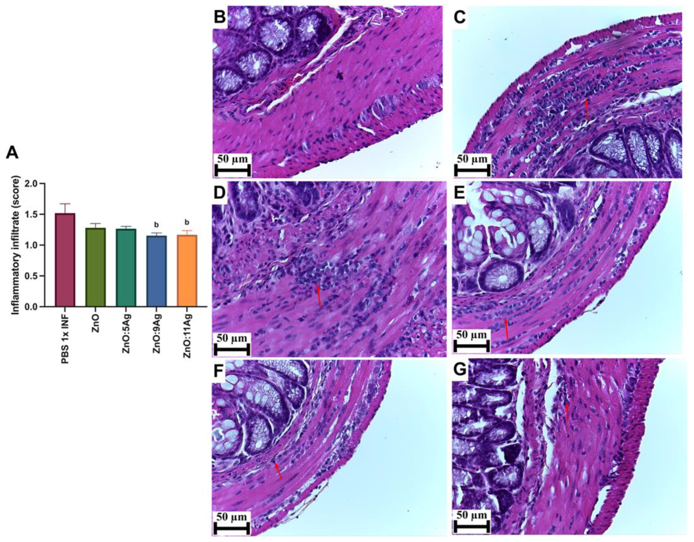 Pharmaceutics 16 01415 g004