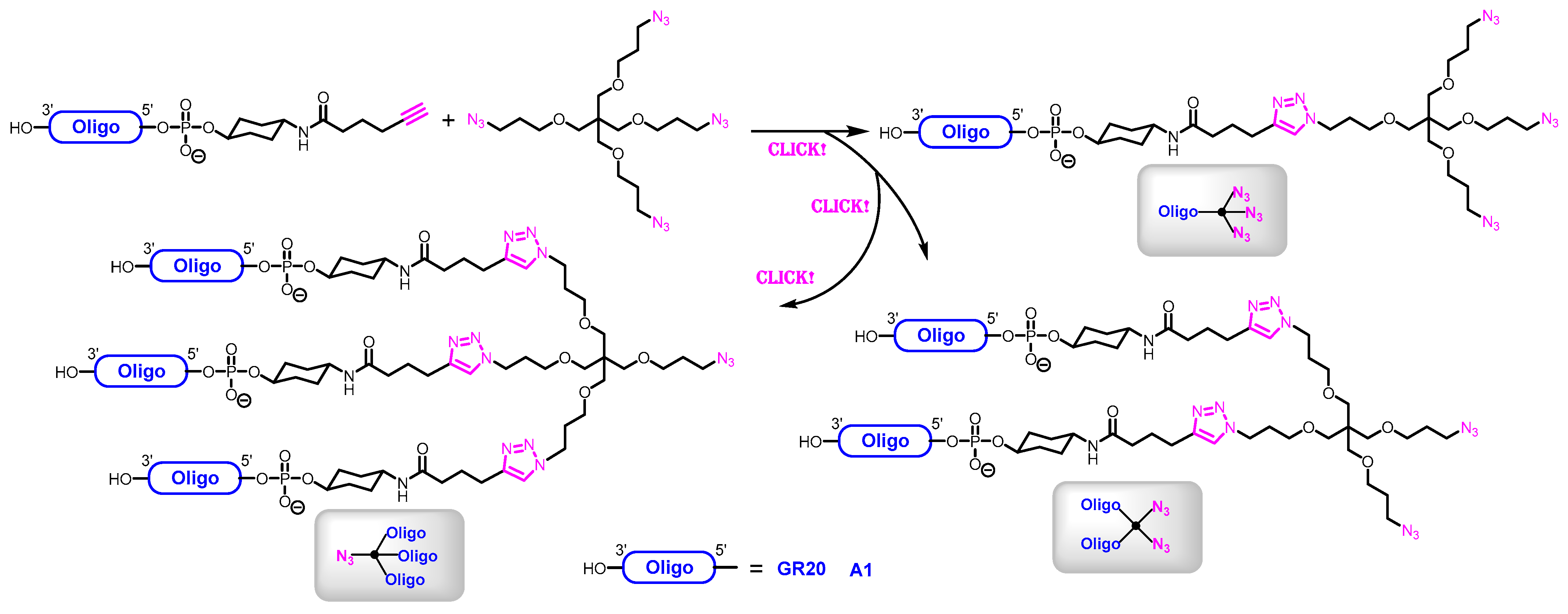 Pharmaceutics 16 01434 sch003