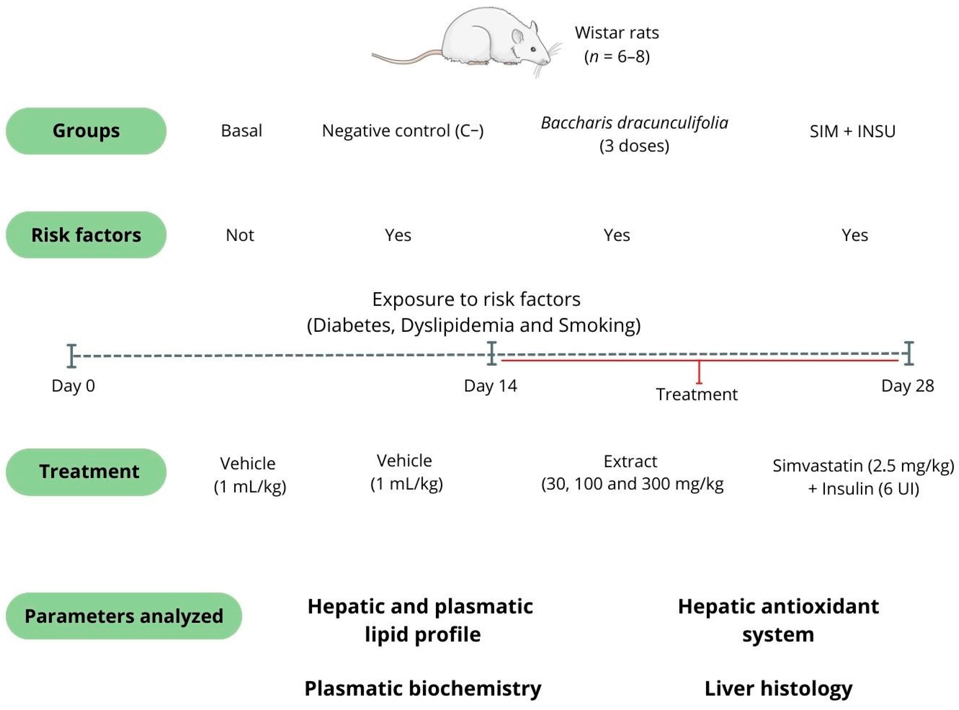 Pharmaceutics 16 01446 g001