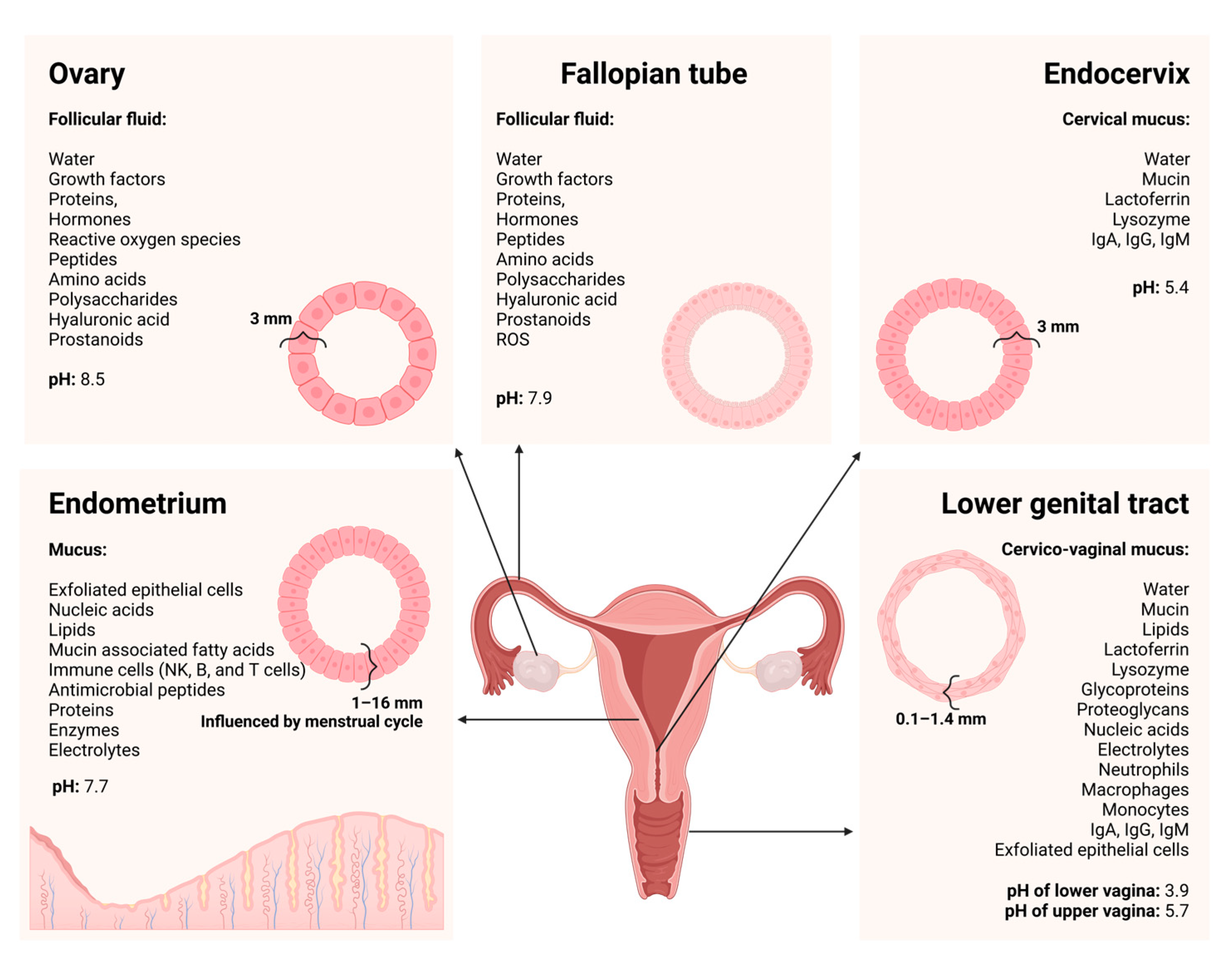 Pharmaceutics 16 01475 g002