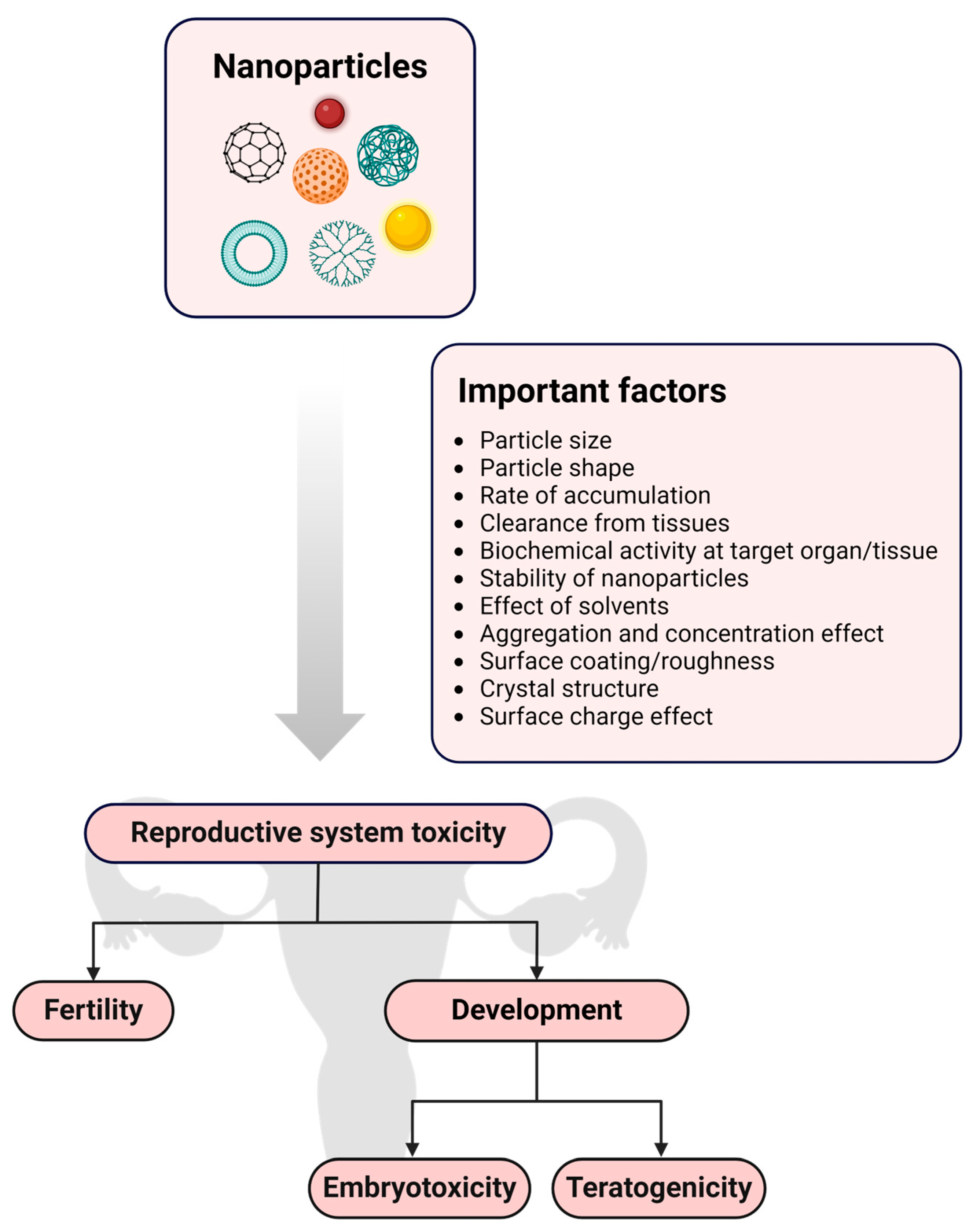 Pharmaceutics 16 01475 g006