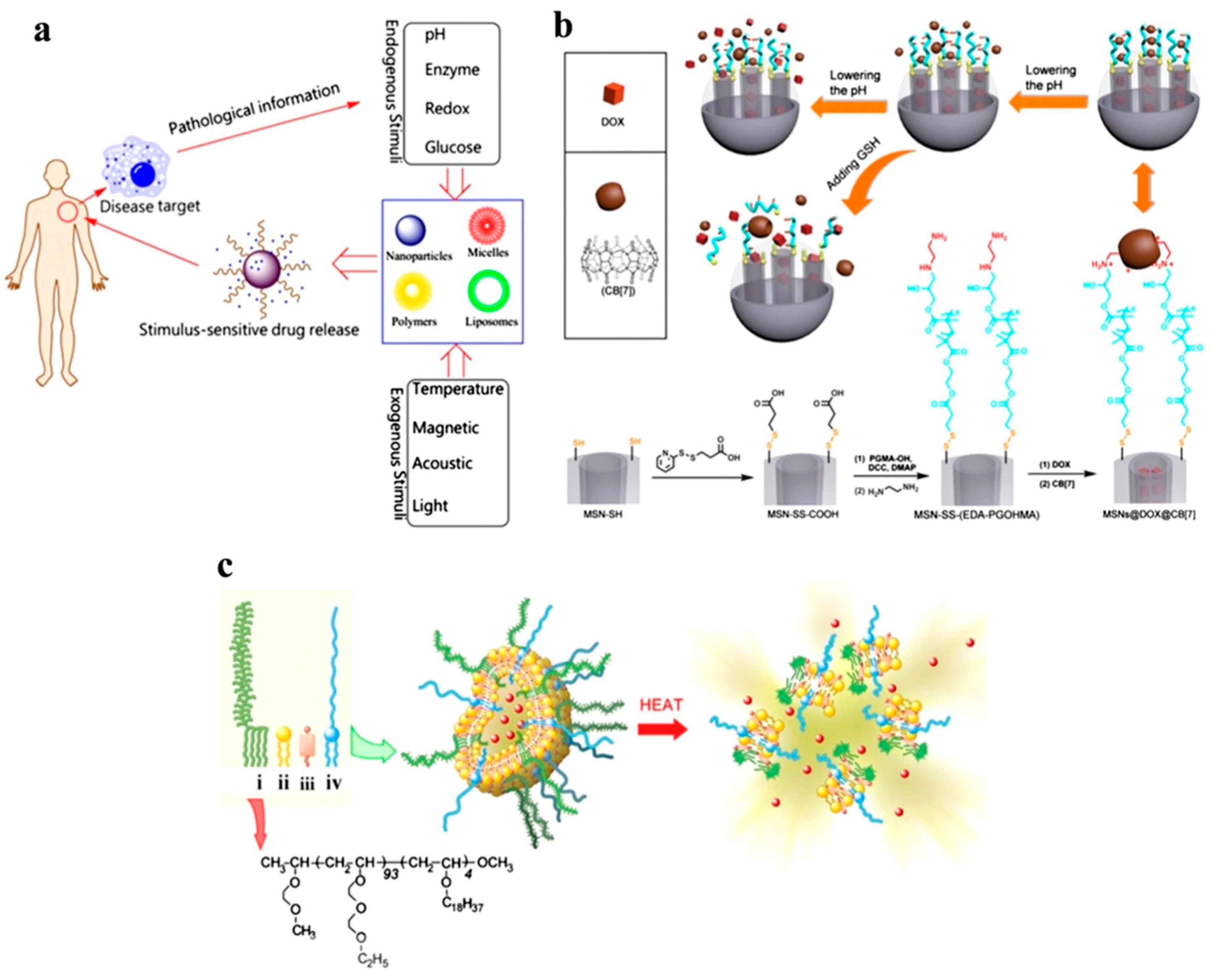 Pharmaceutics 16 01527 g004