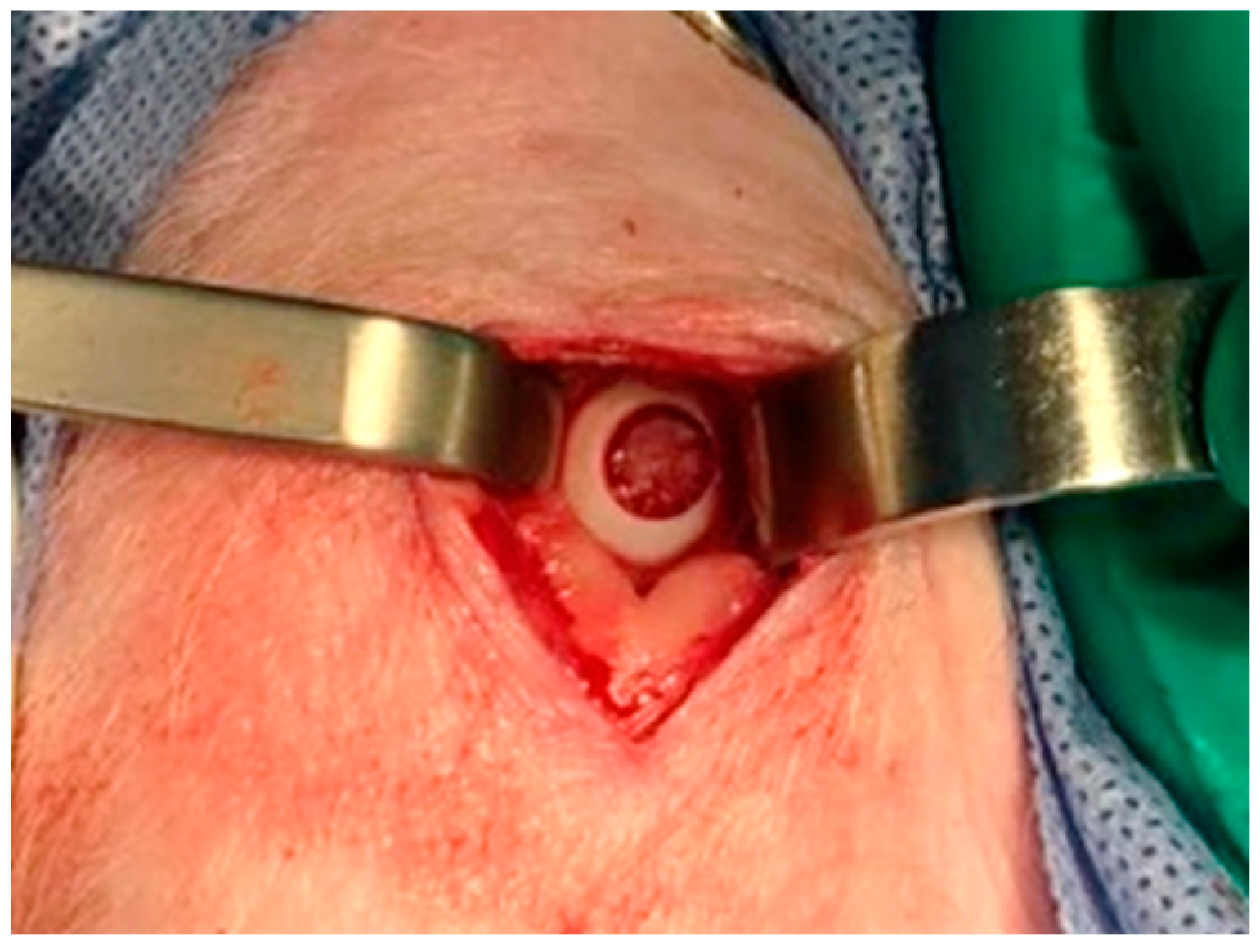 Pharmaceutics 16 01558 g003