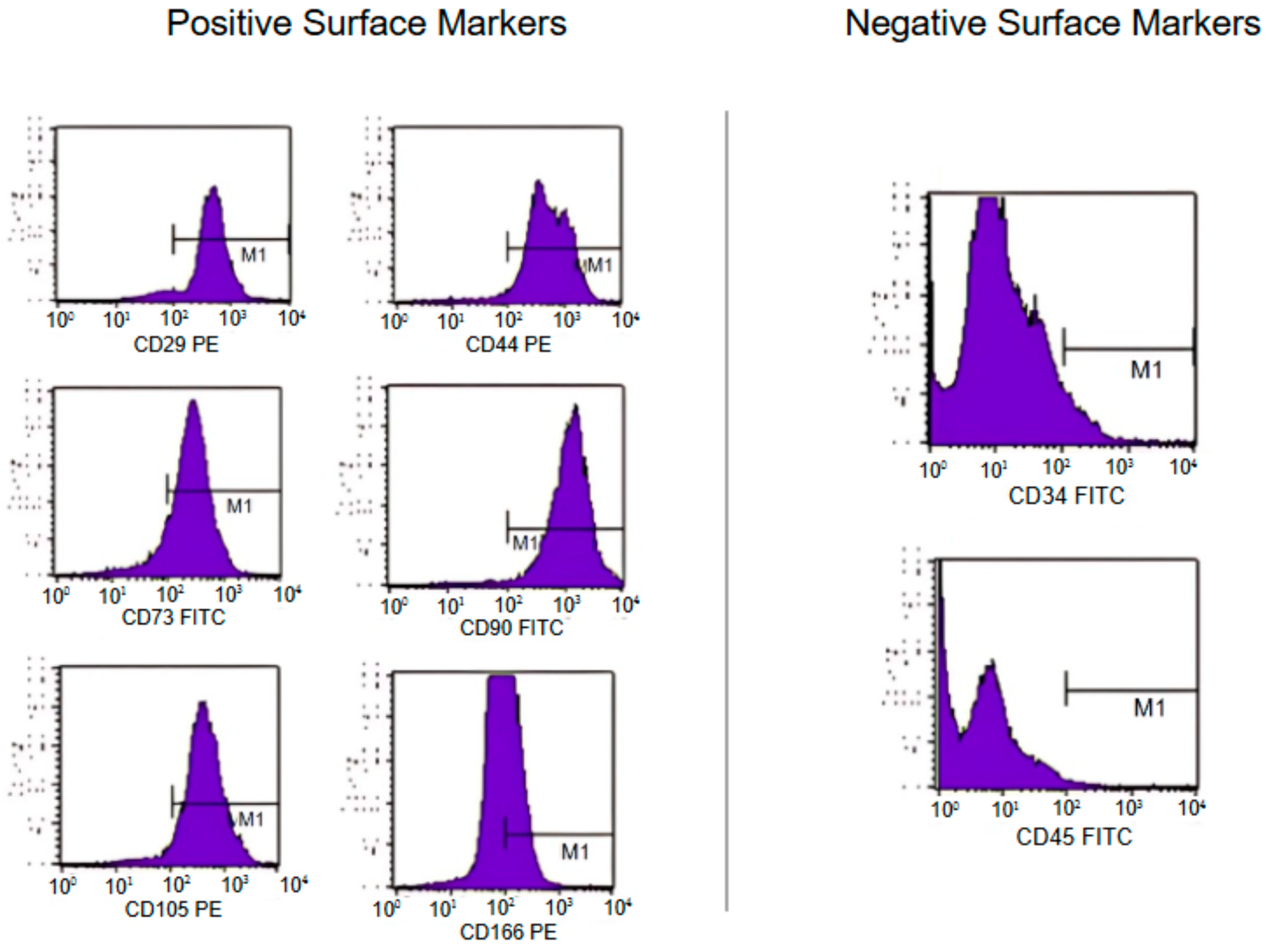 Pharmaceutics 16 01558 g004