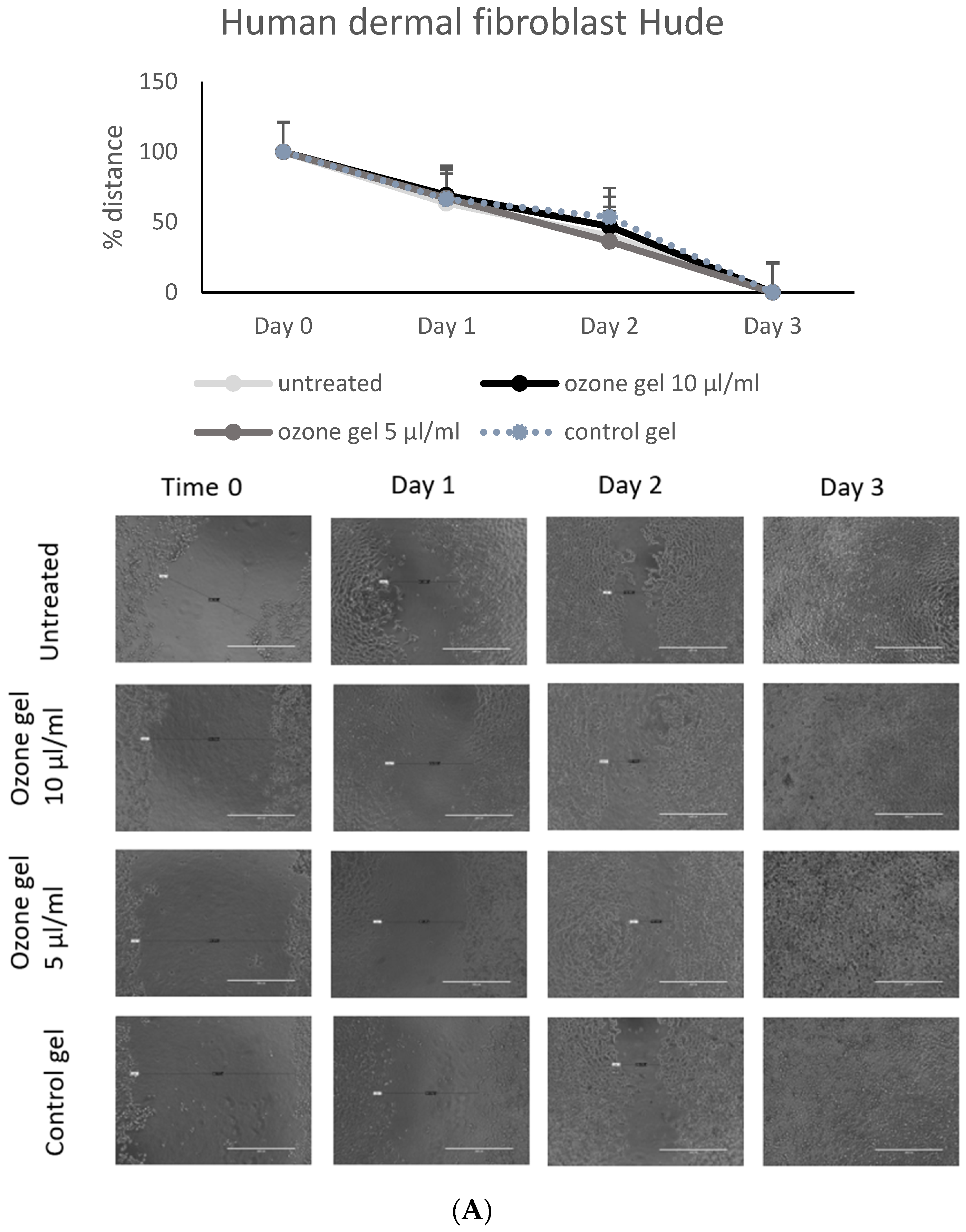 Pharmaceutics 16 01580 g003a