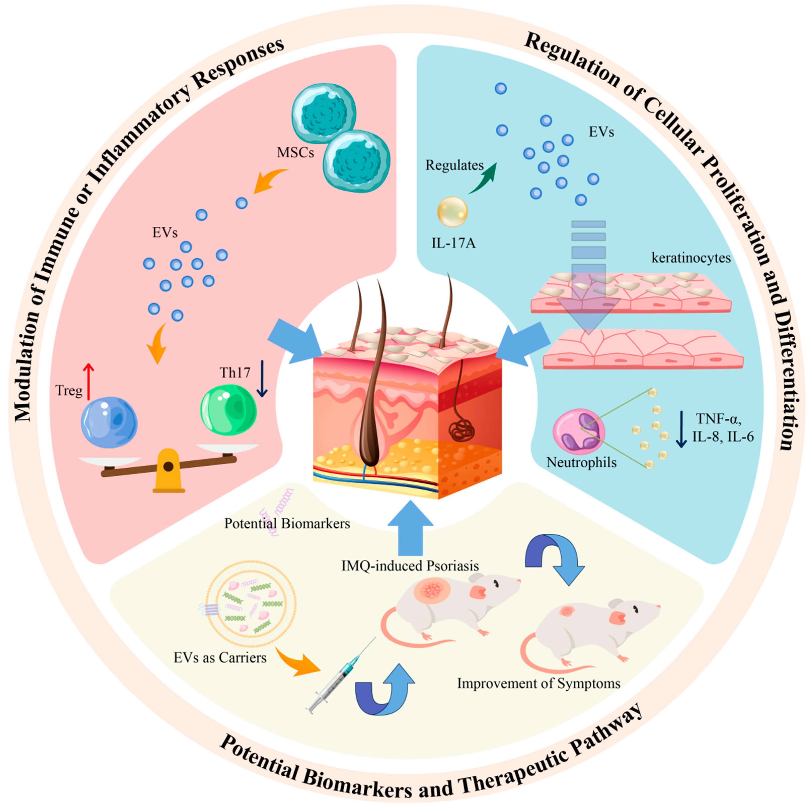 Pharmaceutics 16 01586 g002