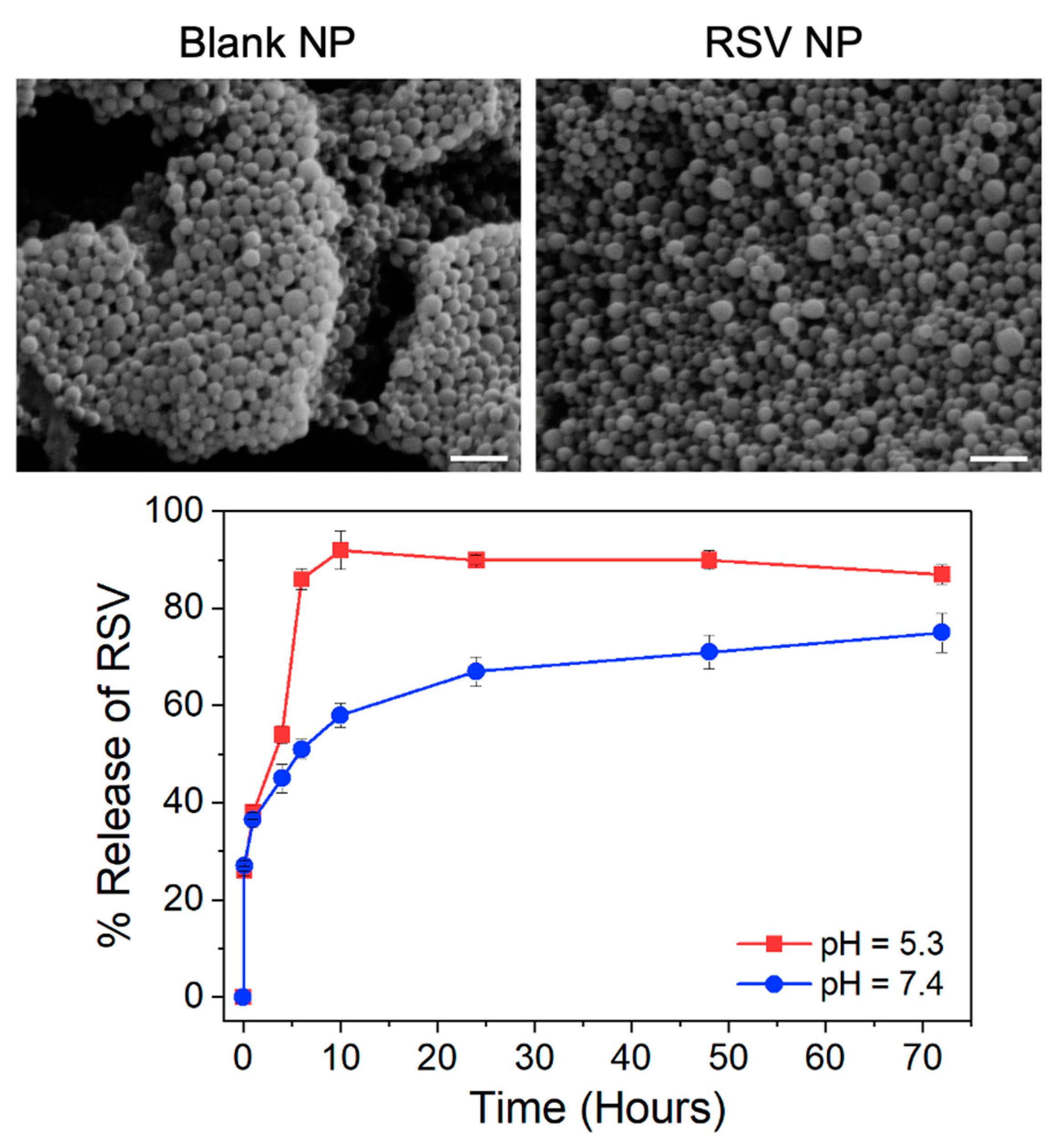 Pharmaceutics 16 01588 g001 Pharmaceutics 16 01588 g001