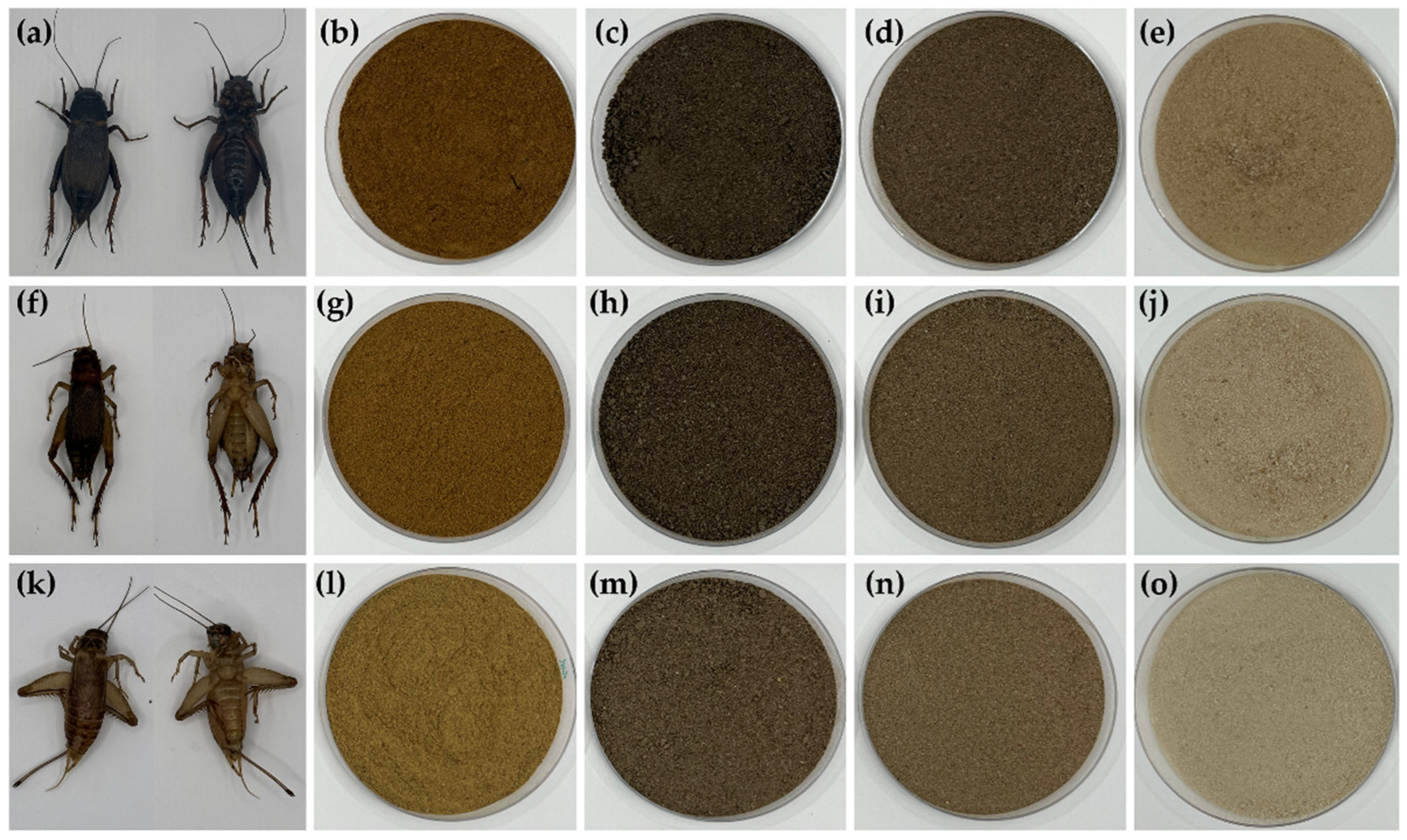 Pharmaceutics 16 01618 g001
