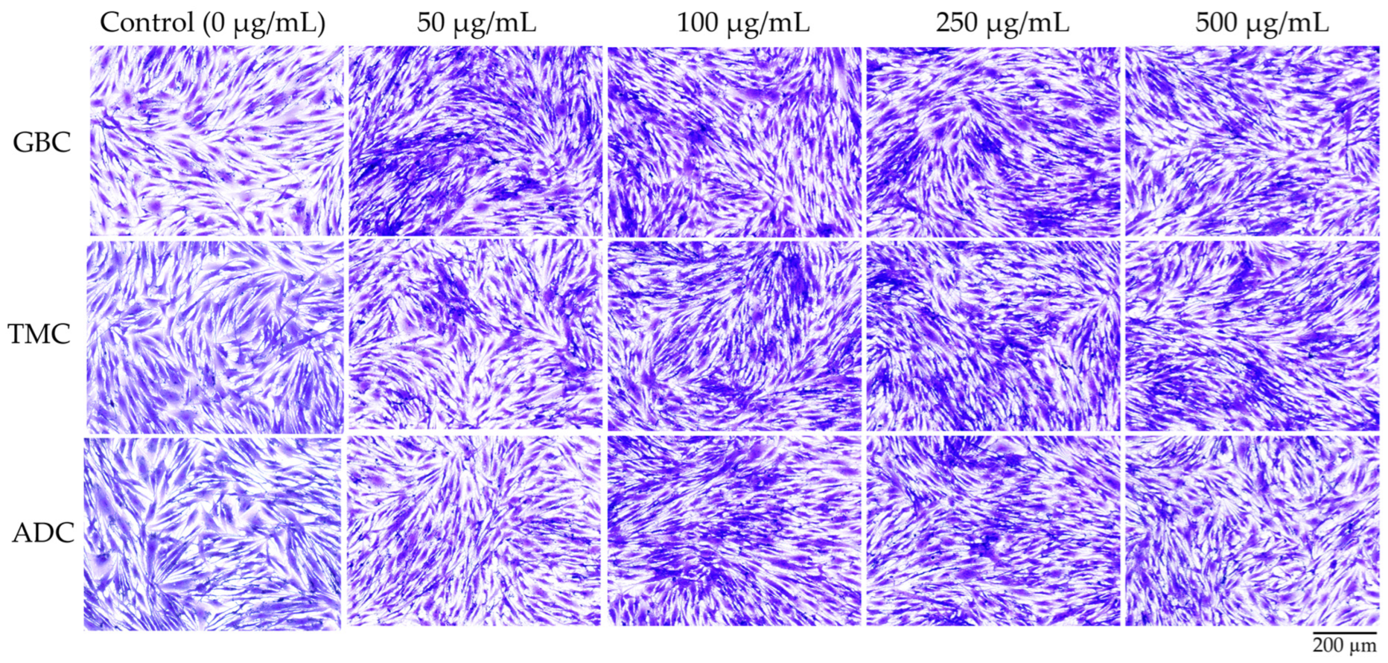 Pharmaceutics 16 01618 g008