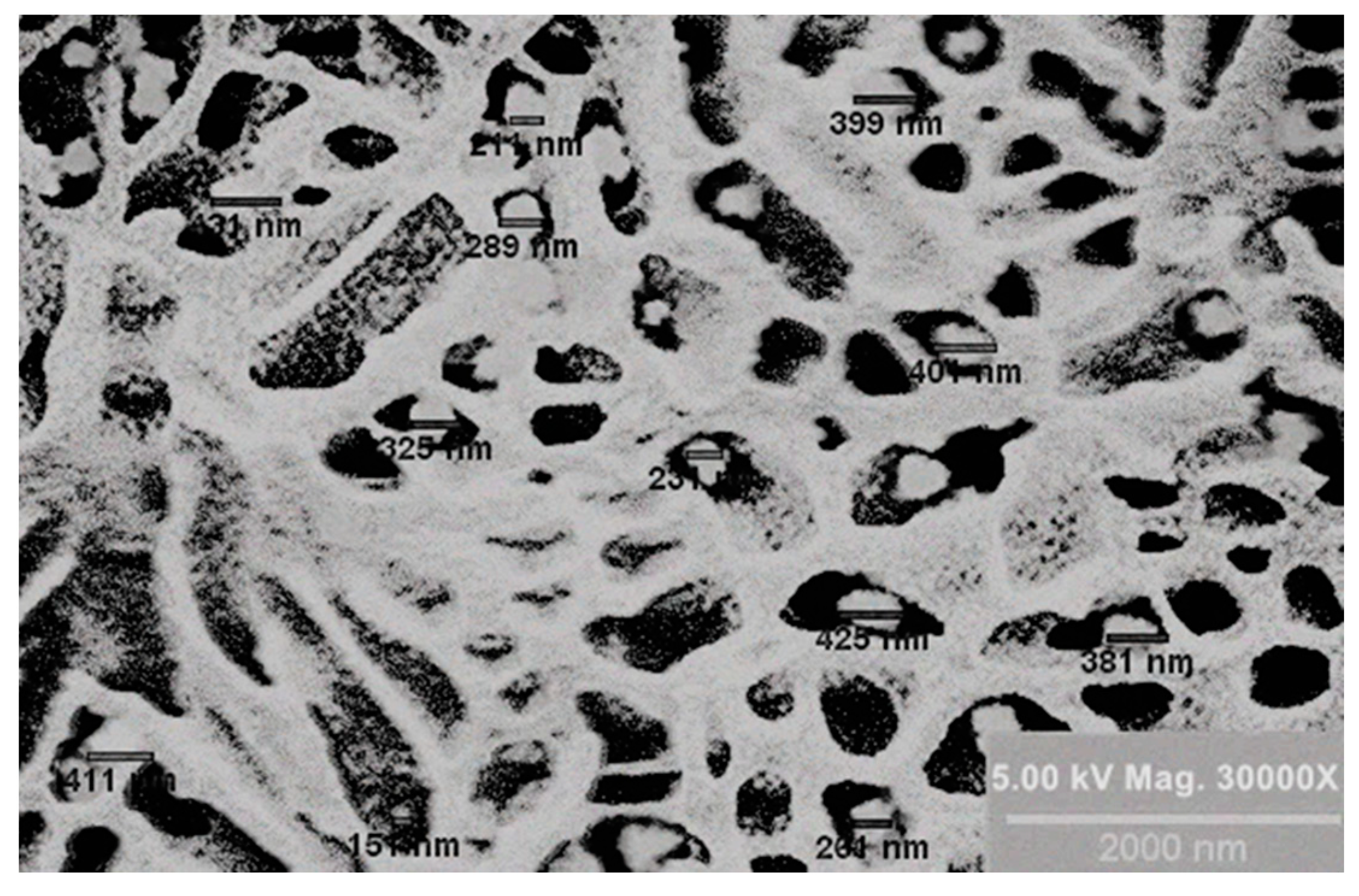 Pharmaceutics 17 00004 g001