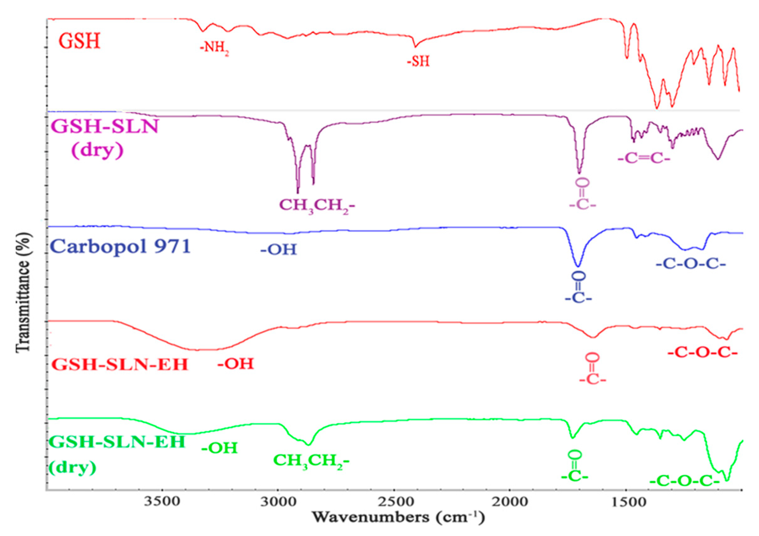 Pharmaceutics 17 00004 g002