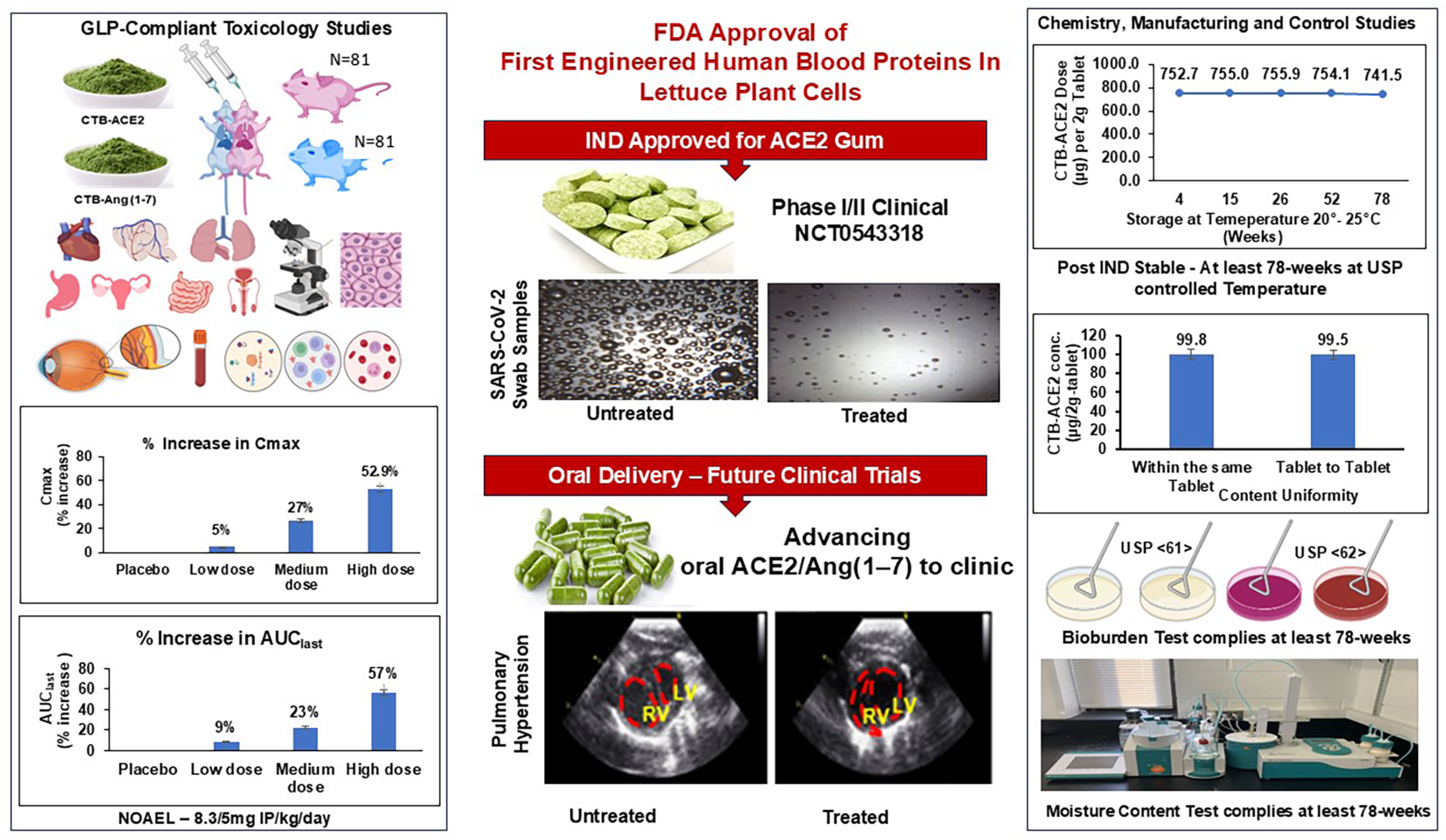 Pharmaceutics 17 00012 g001