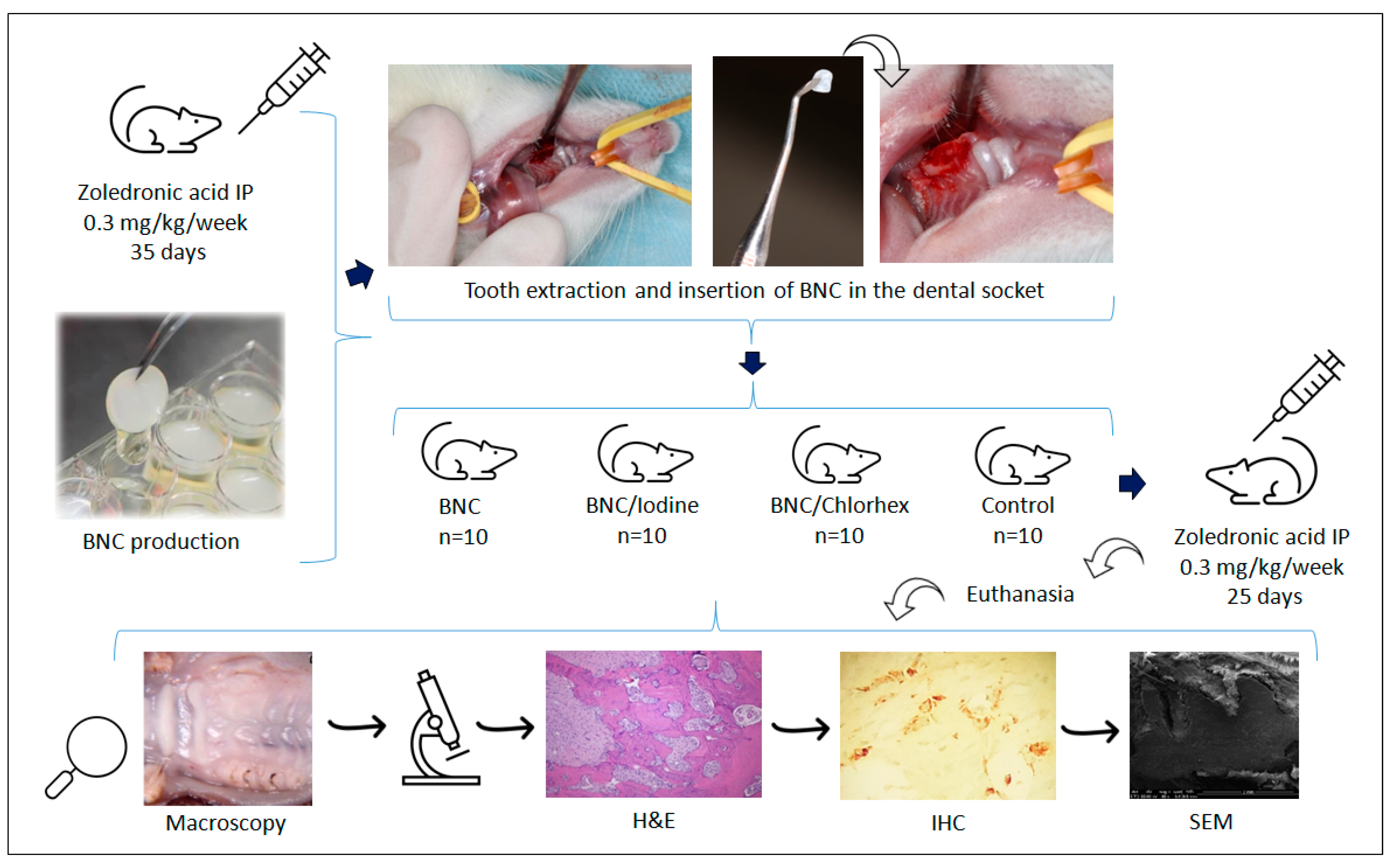 Pharmaceutics 17 00024 g001 Pharmaceutics 17 00024 g001