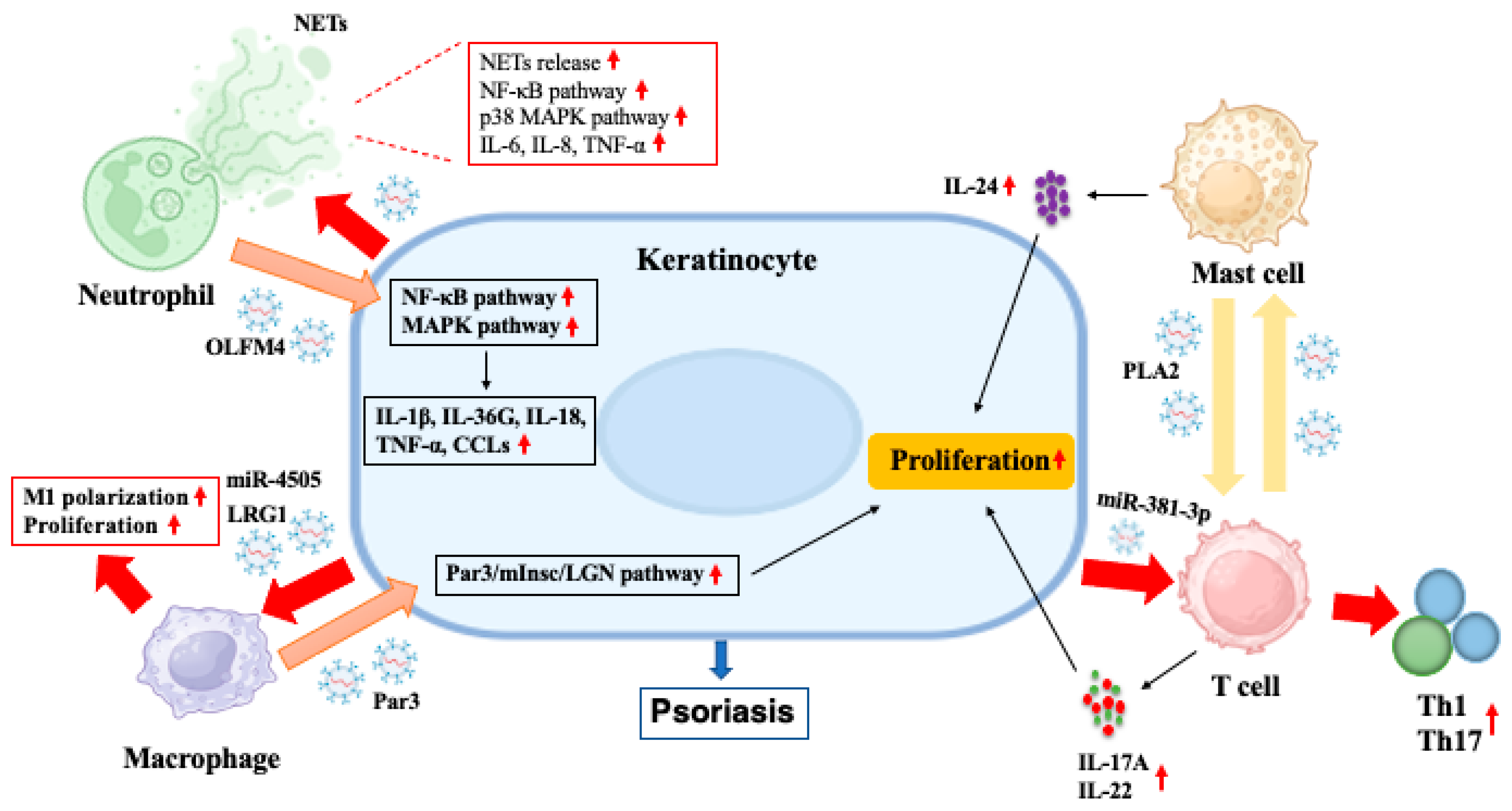 Pharmaceutics 17 00051 g001