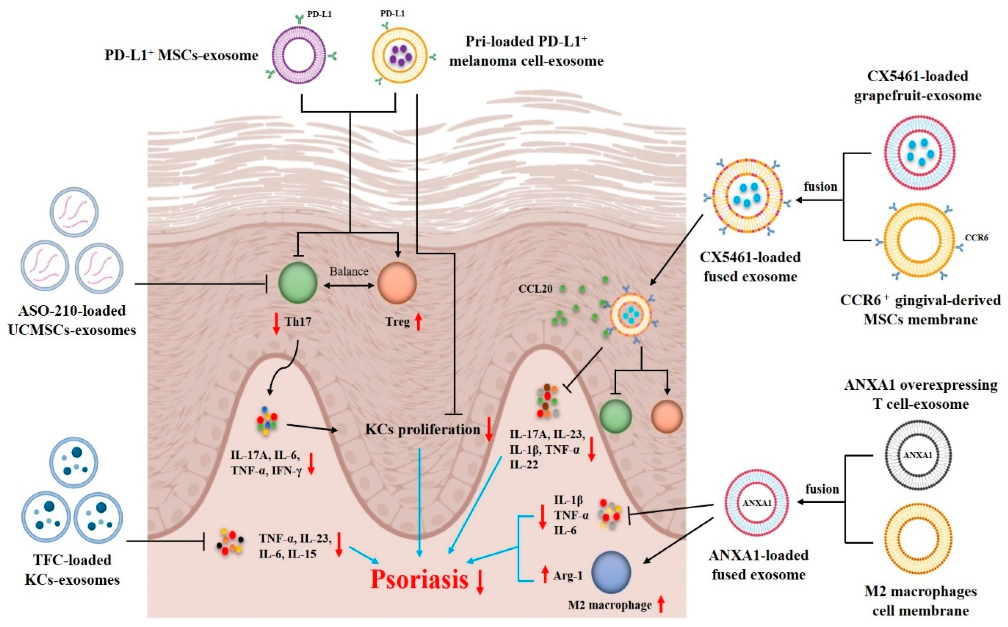 Pharmaceutics 17 00051 g003