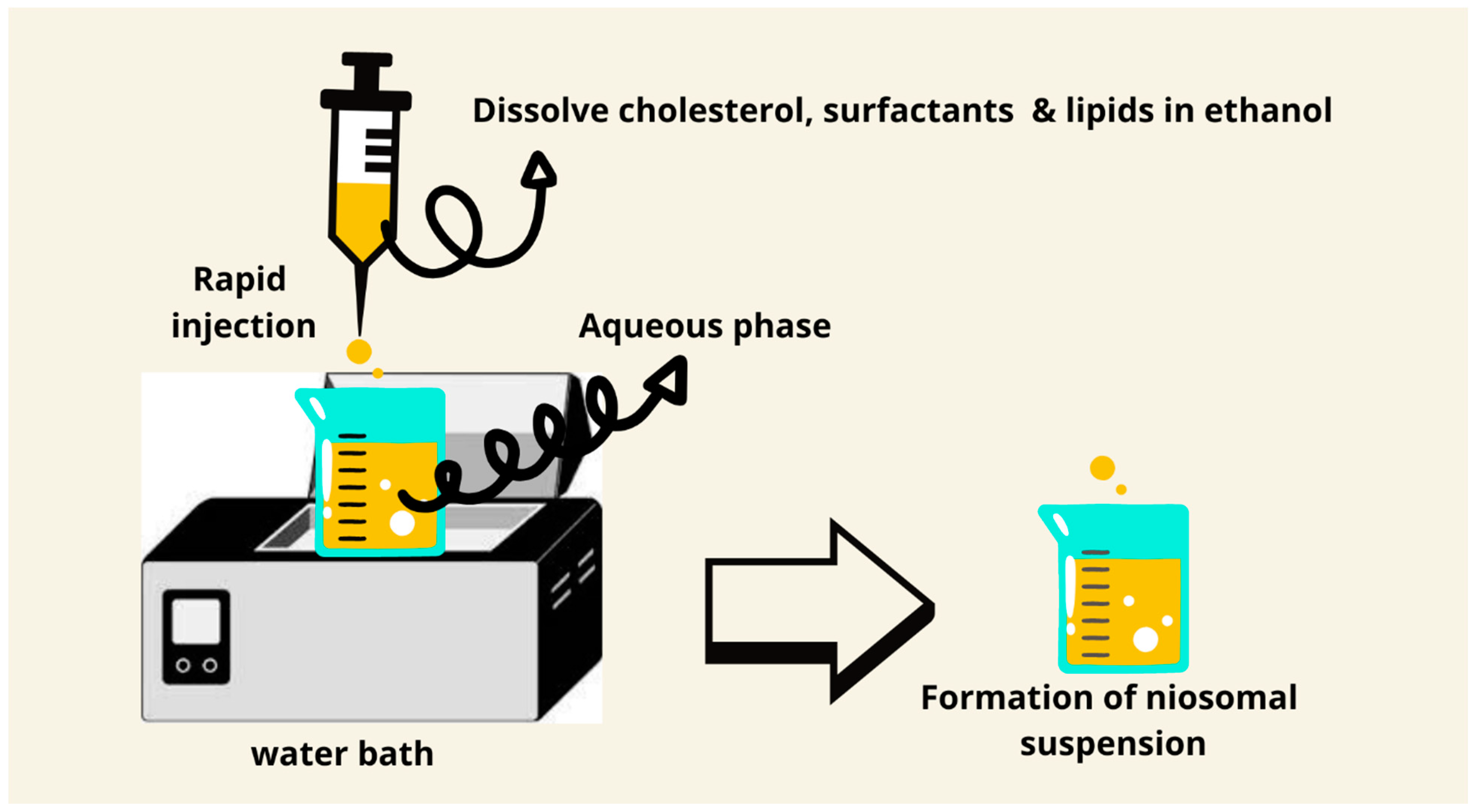 Pharmaceutics 17 00067 g006