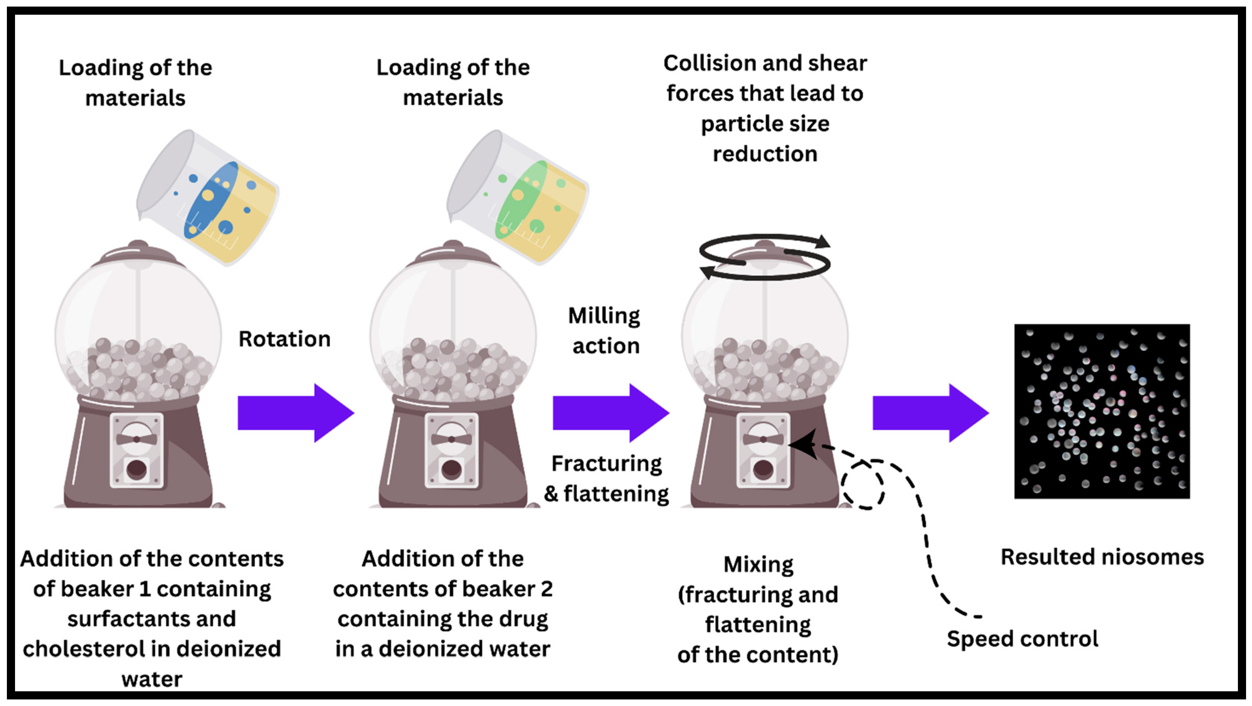 Pharmaceutics 17 00067 g013