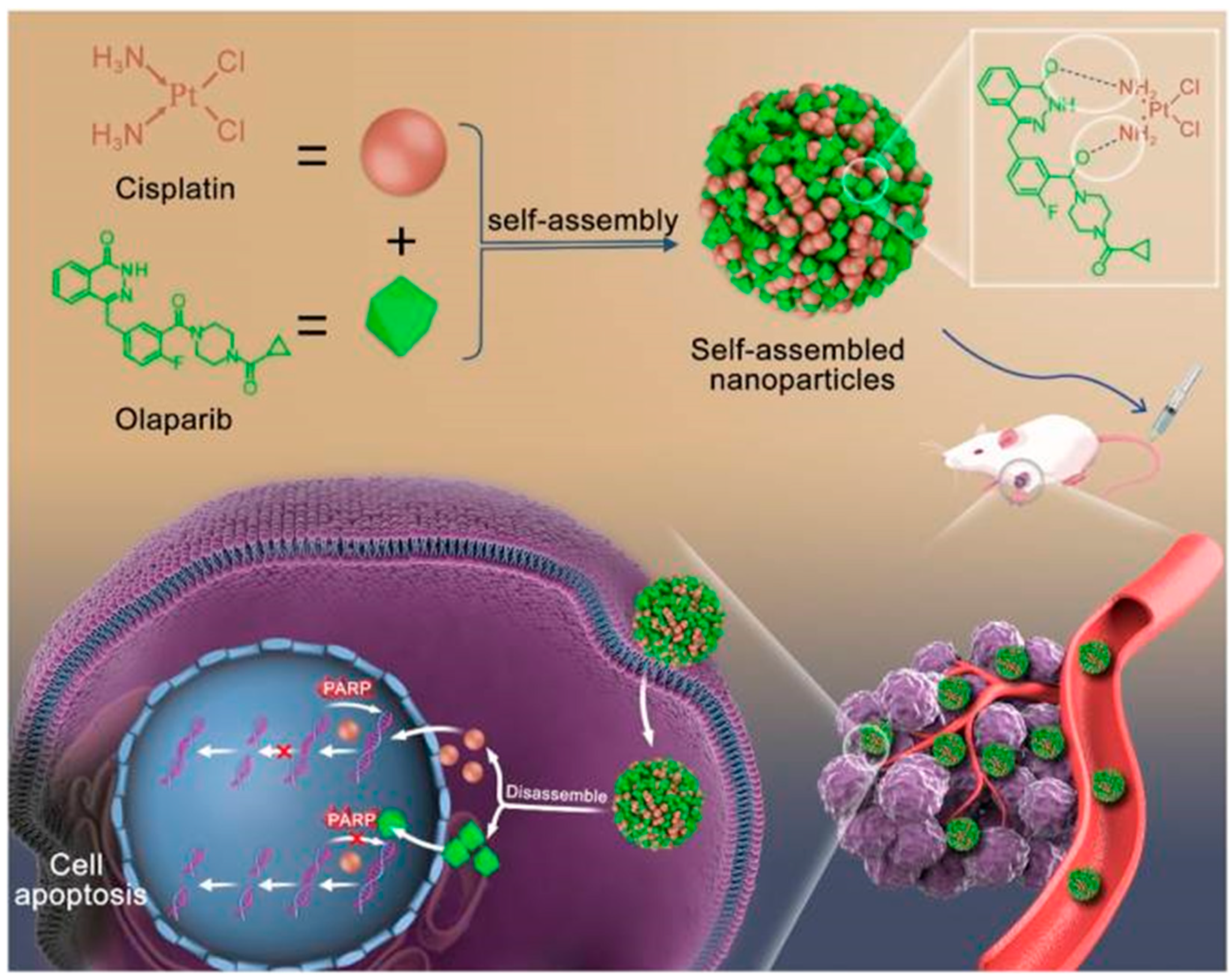 Pharmaceutics 17 00068 g008