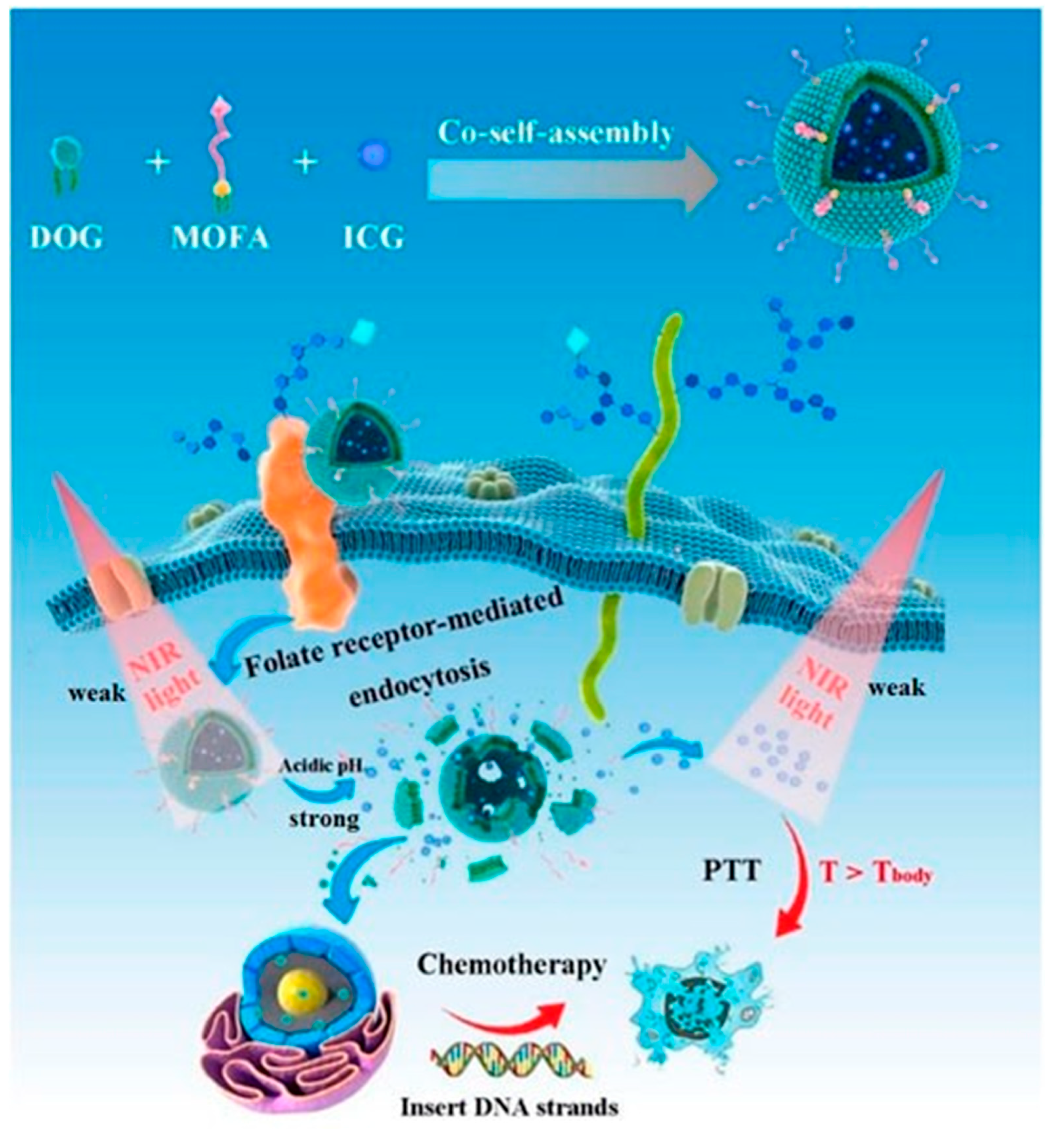 Pharmaceutics 17 00068 g010