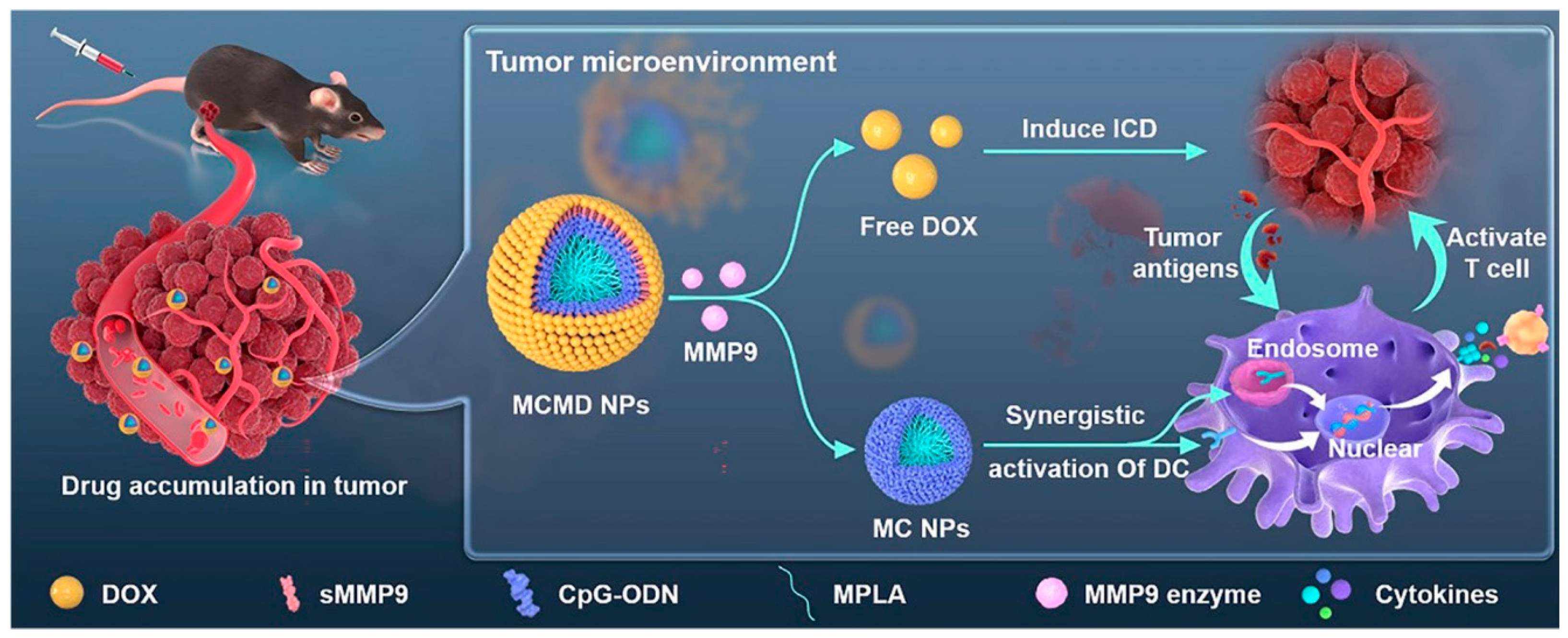 Pharmaceutics 17 00068 g013