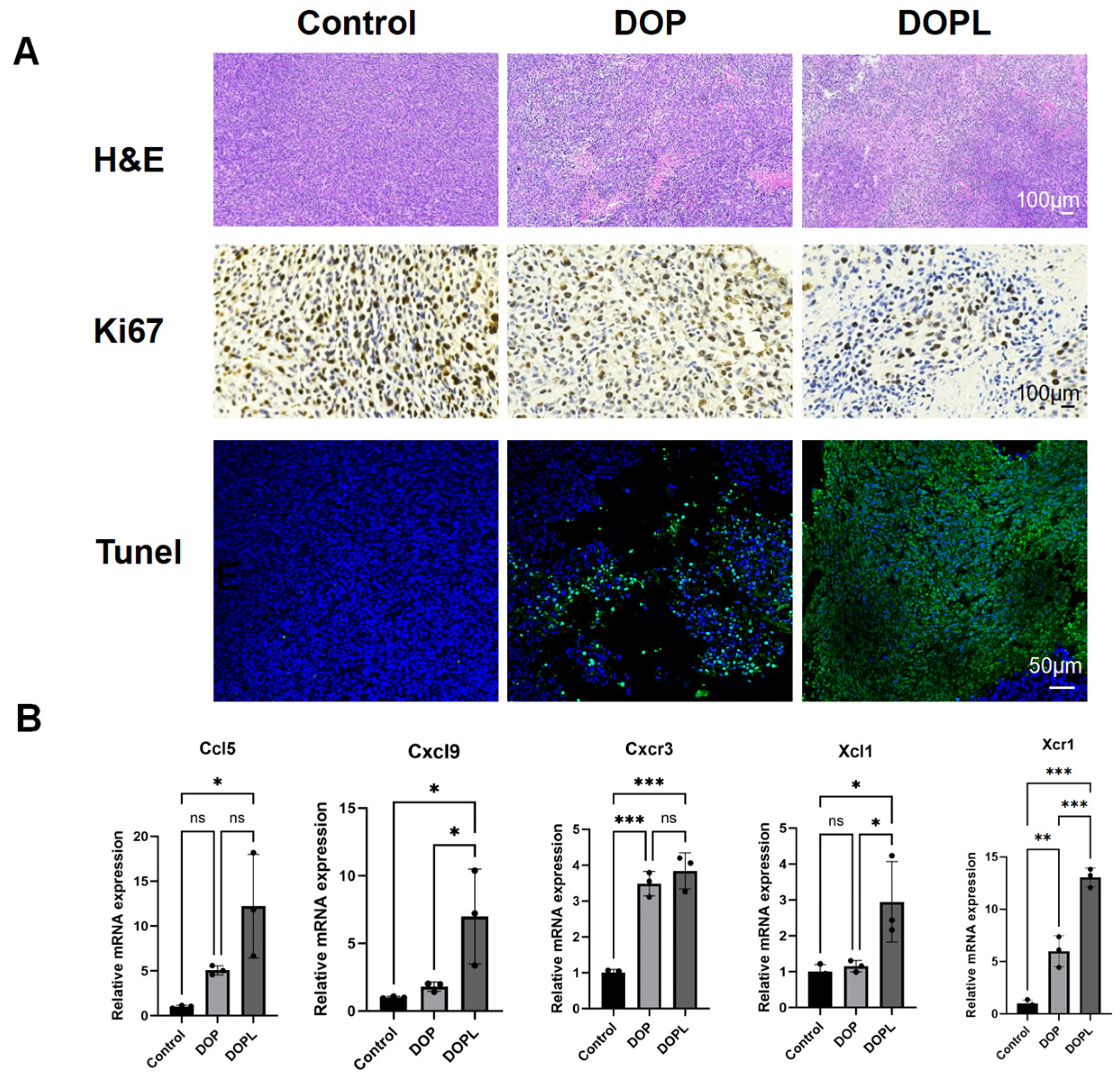 Pharmaceutics 17 00097 g005 Pharmaceutics 17 00097 g005