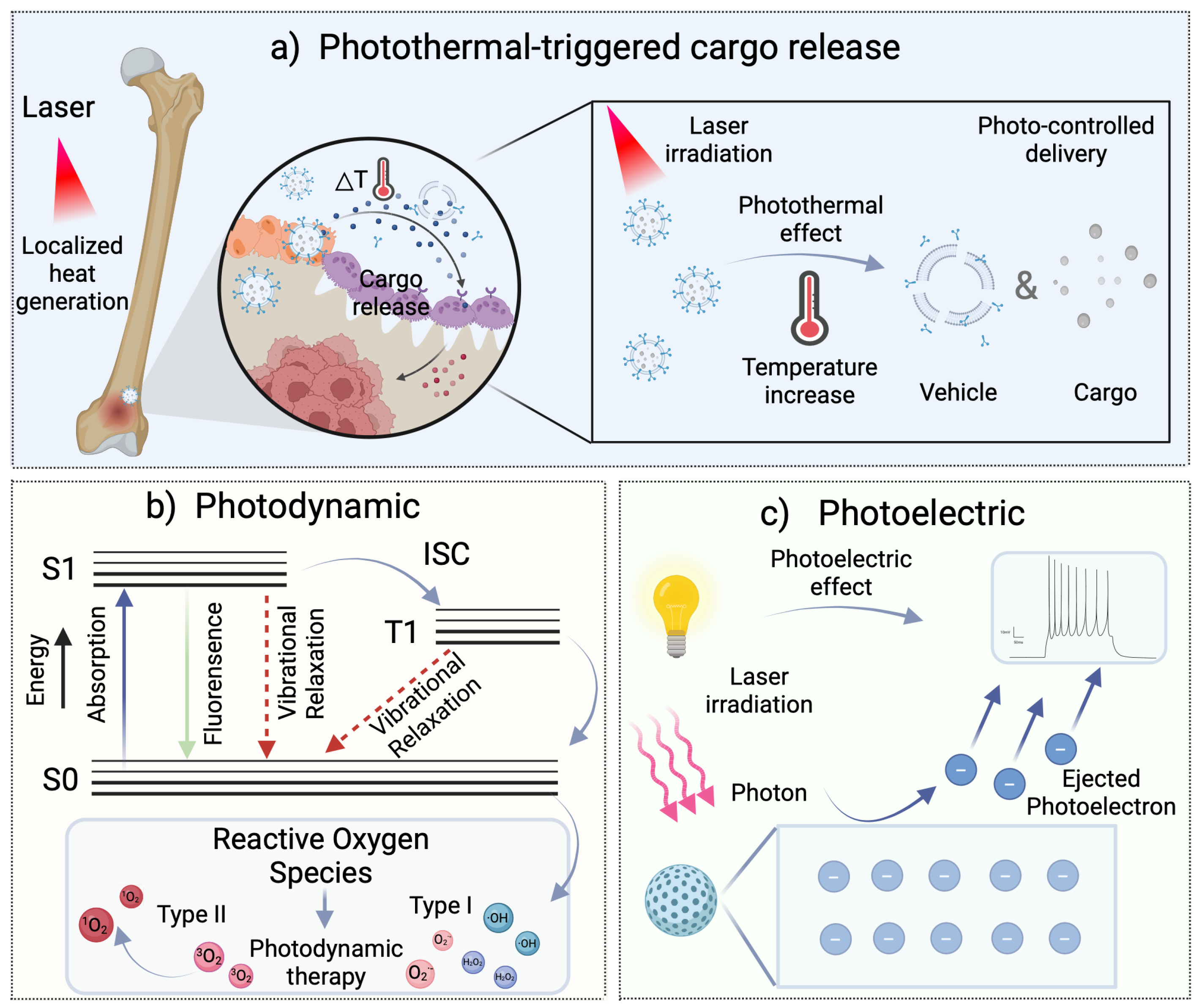 Pharmaceutics 17 00098 g002