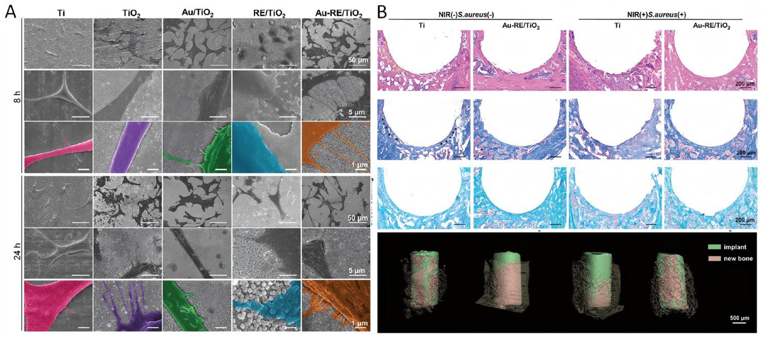 Pharmaceutics 17 00098 g006