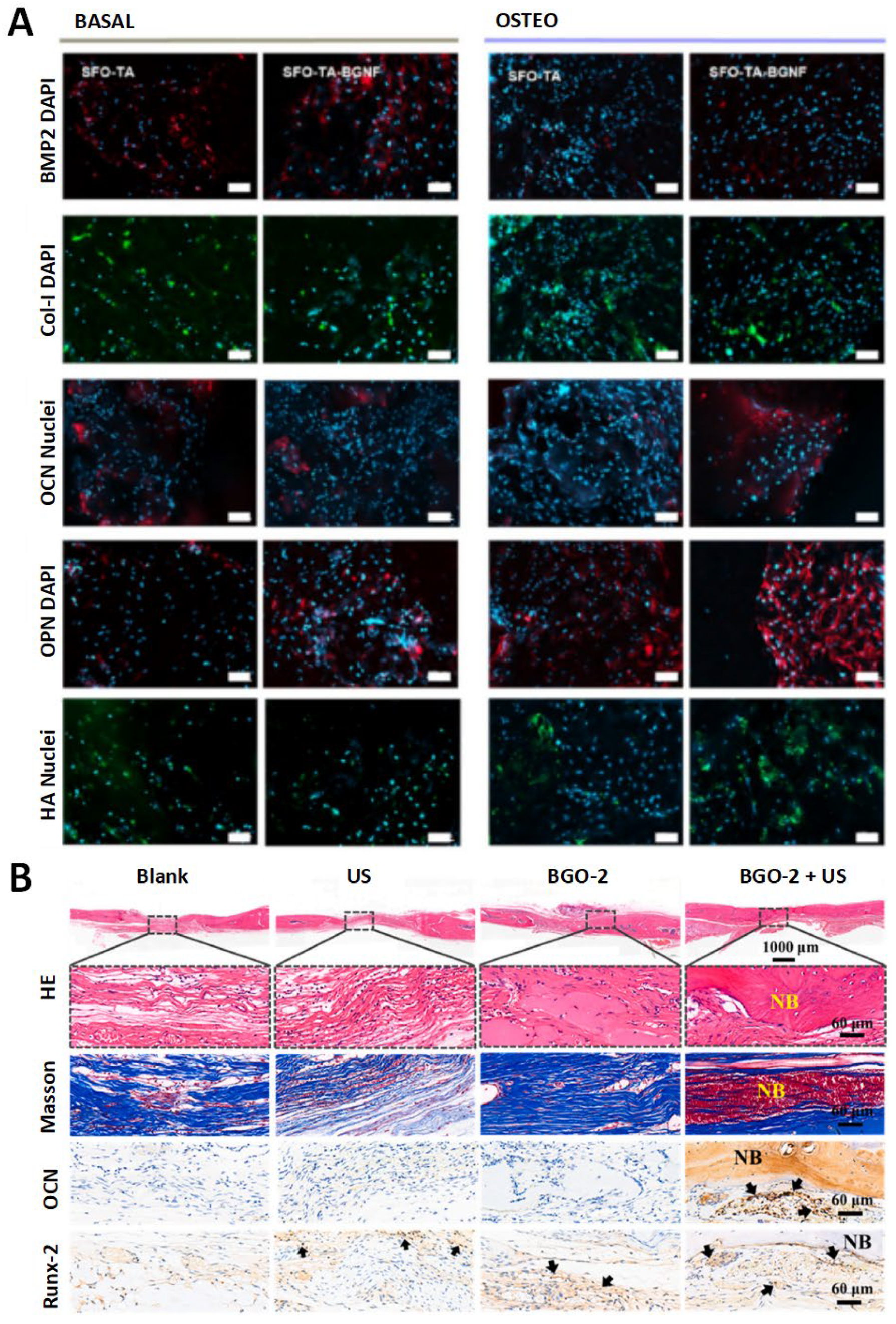 Pharmaceutics 17 00098 g008