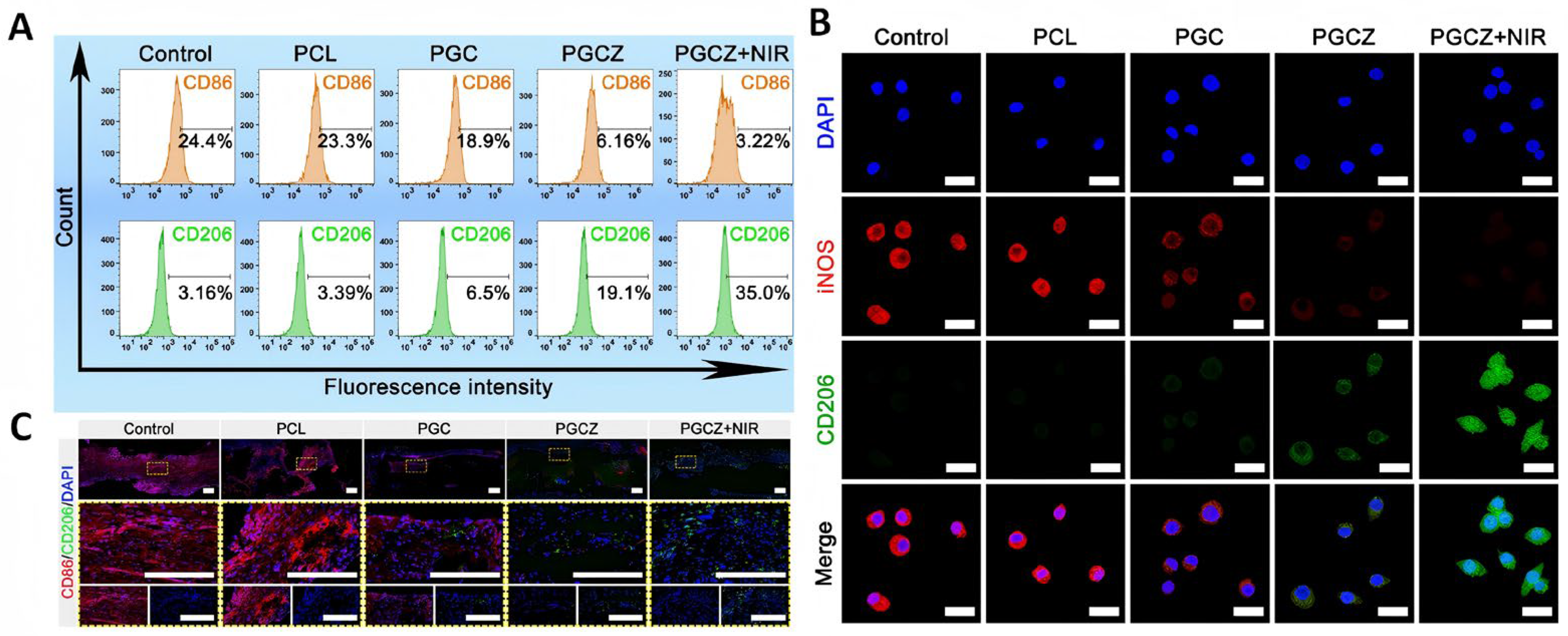 Pharmaceutics 17 00098 g009