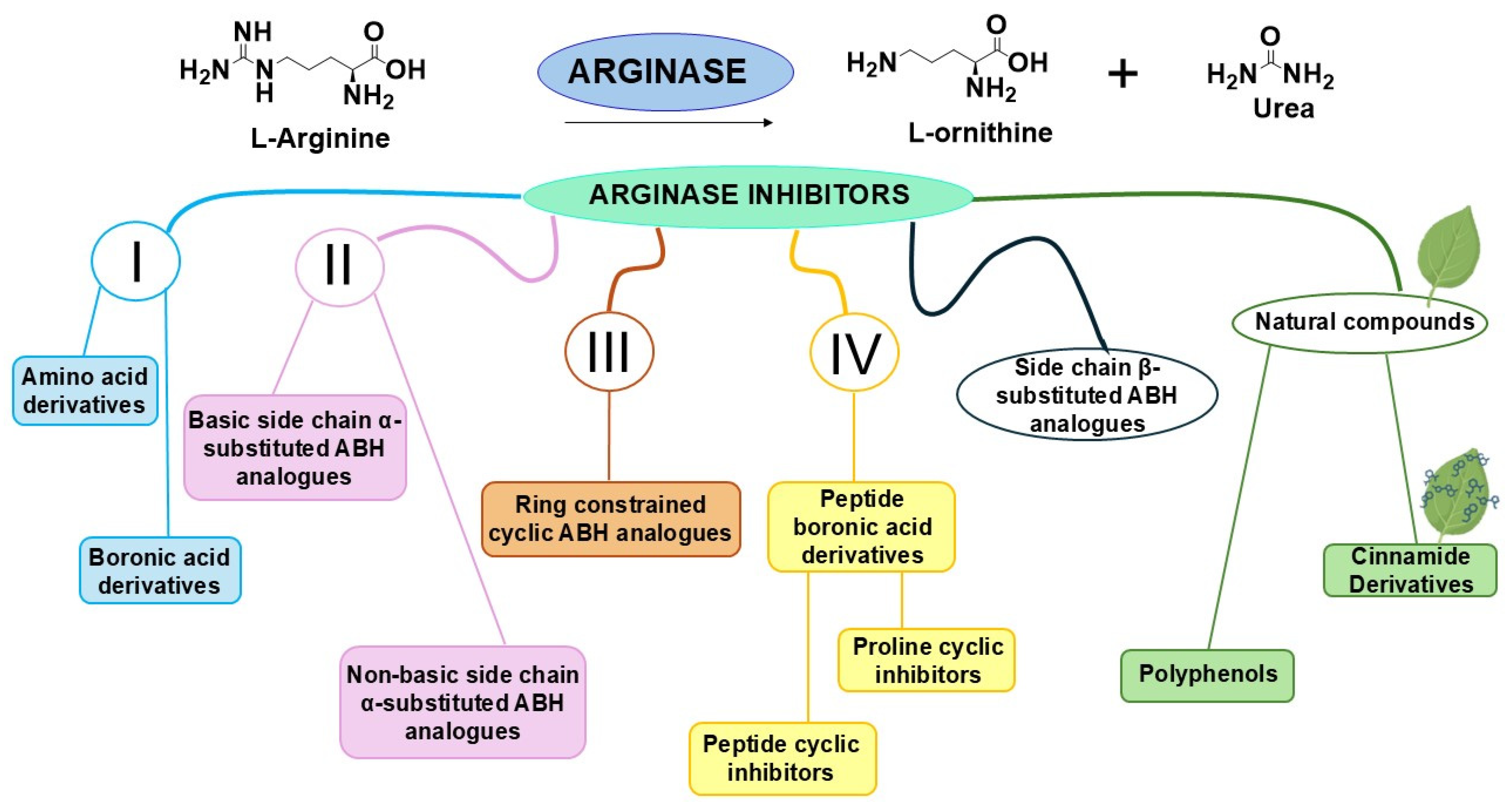 Pharmaceutics 17 00117 g001
