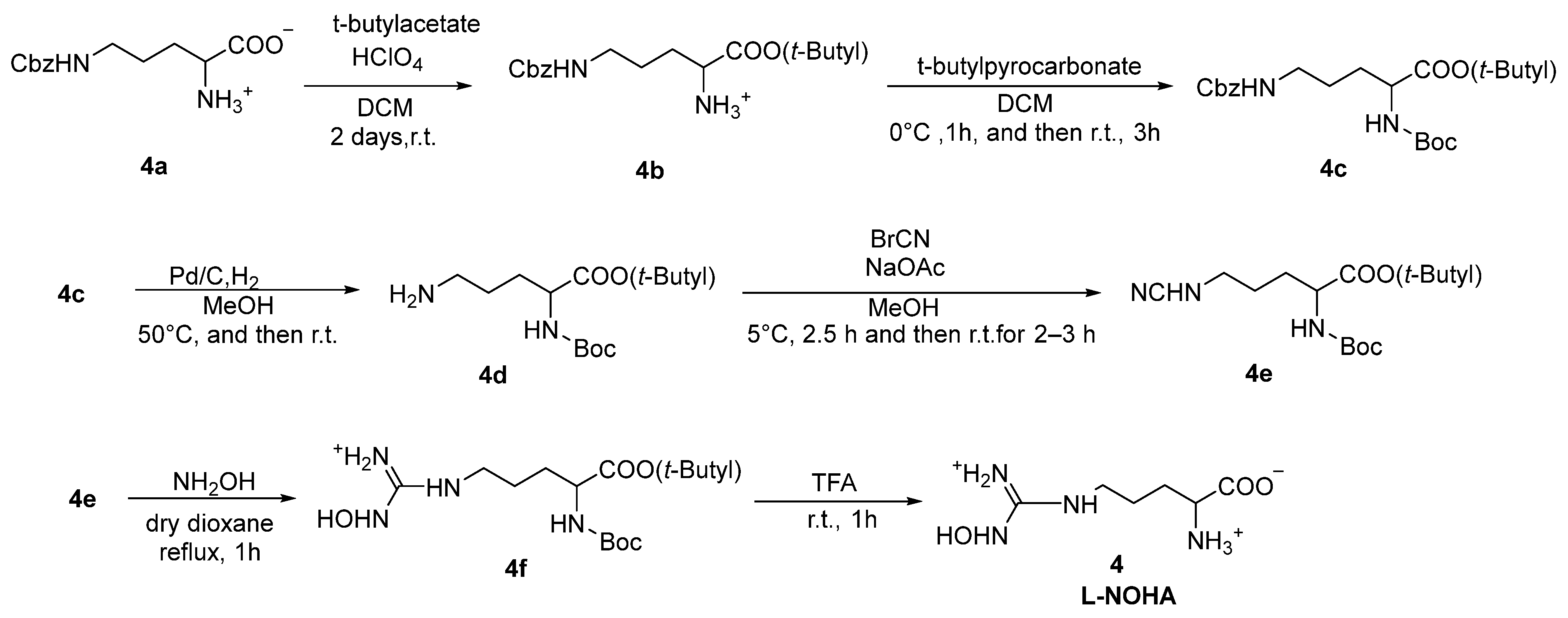 Pharmaceutics 17 00117 sch001