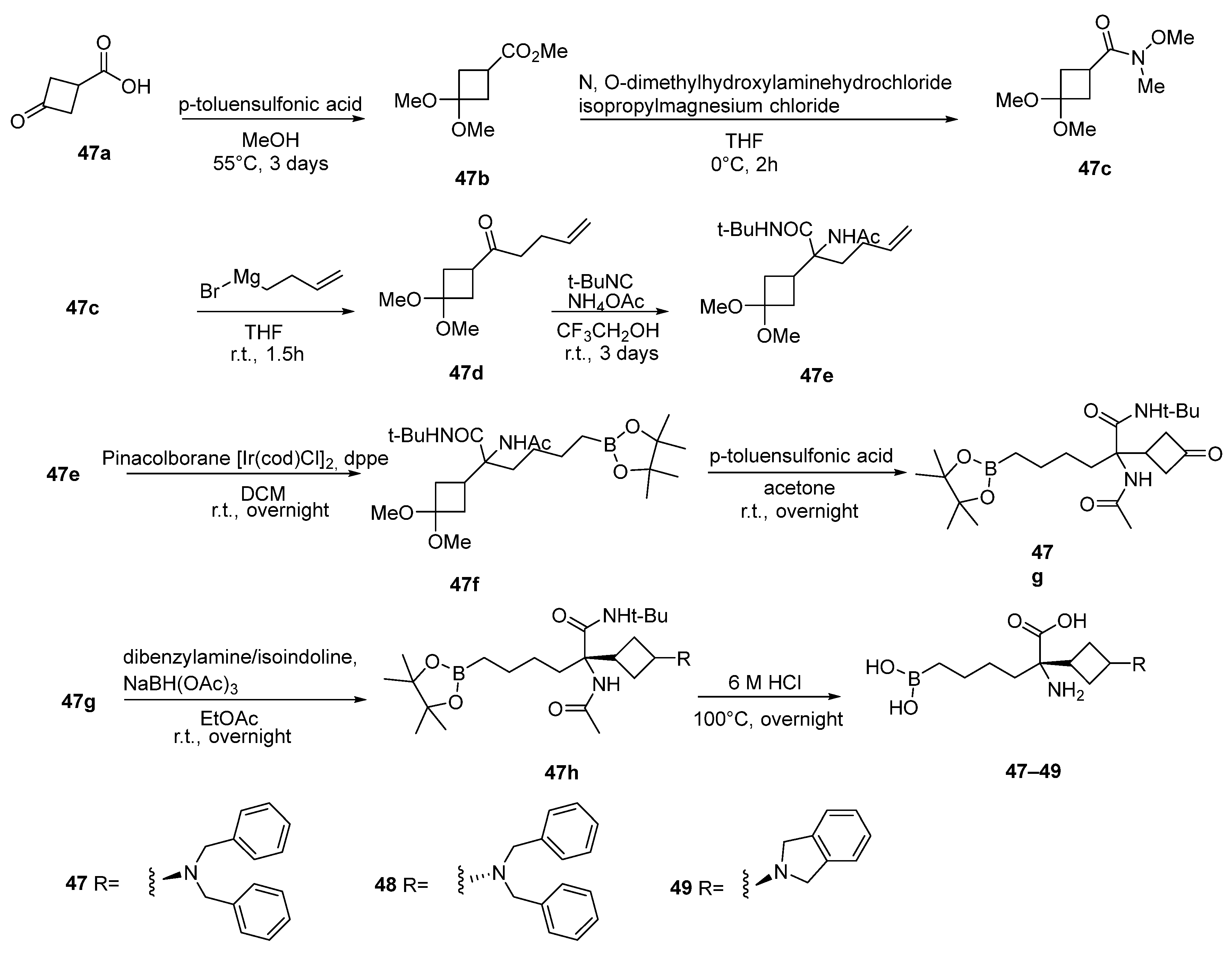 Pharmaceutics 17 00117 sch013