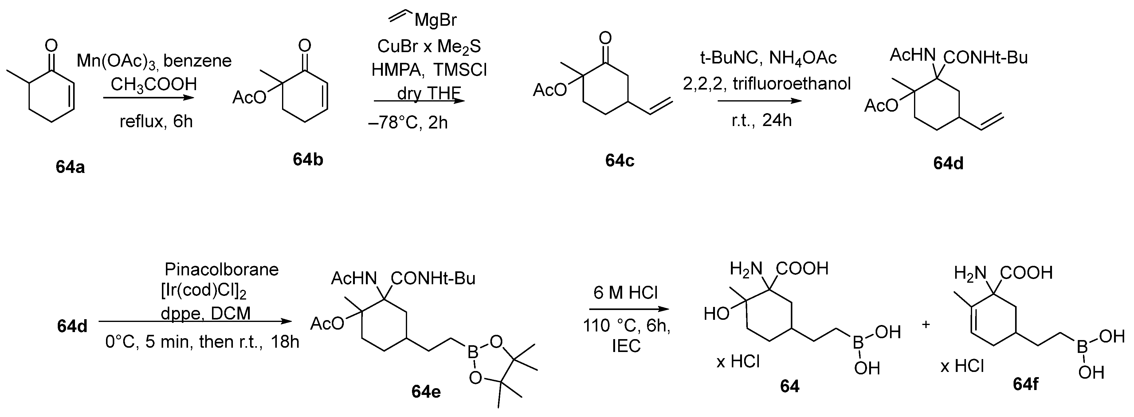 Pharmaceutics 17 00117 sch026