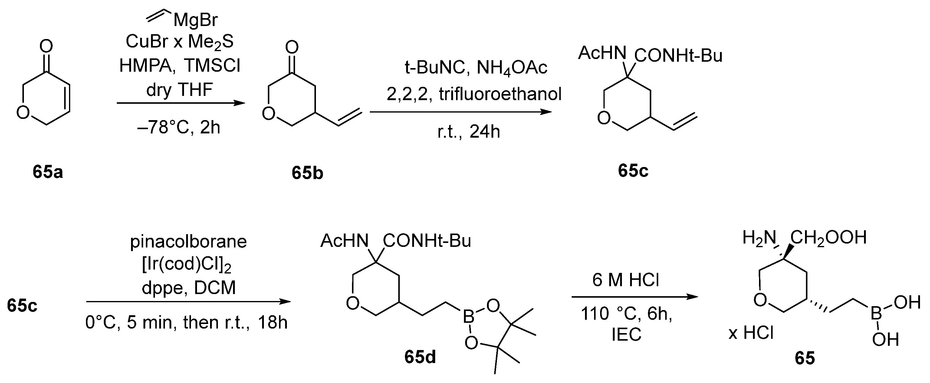 Pharmaceutics 17 00117 sch027