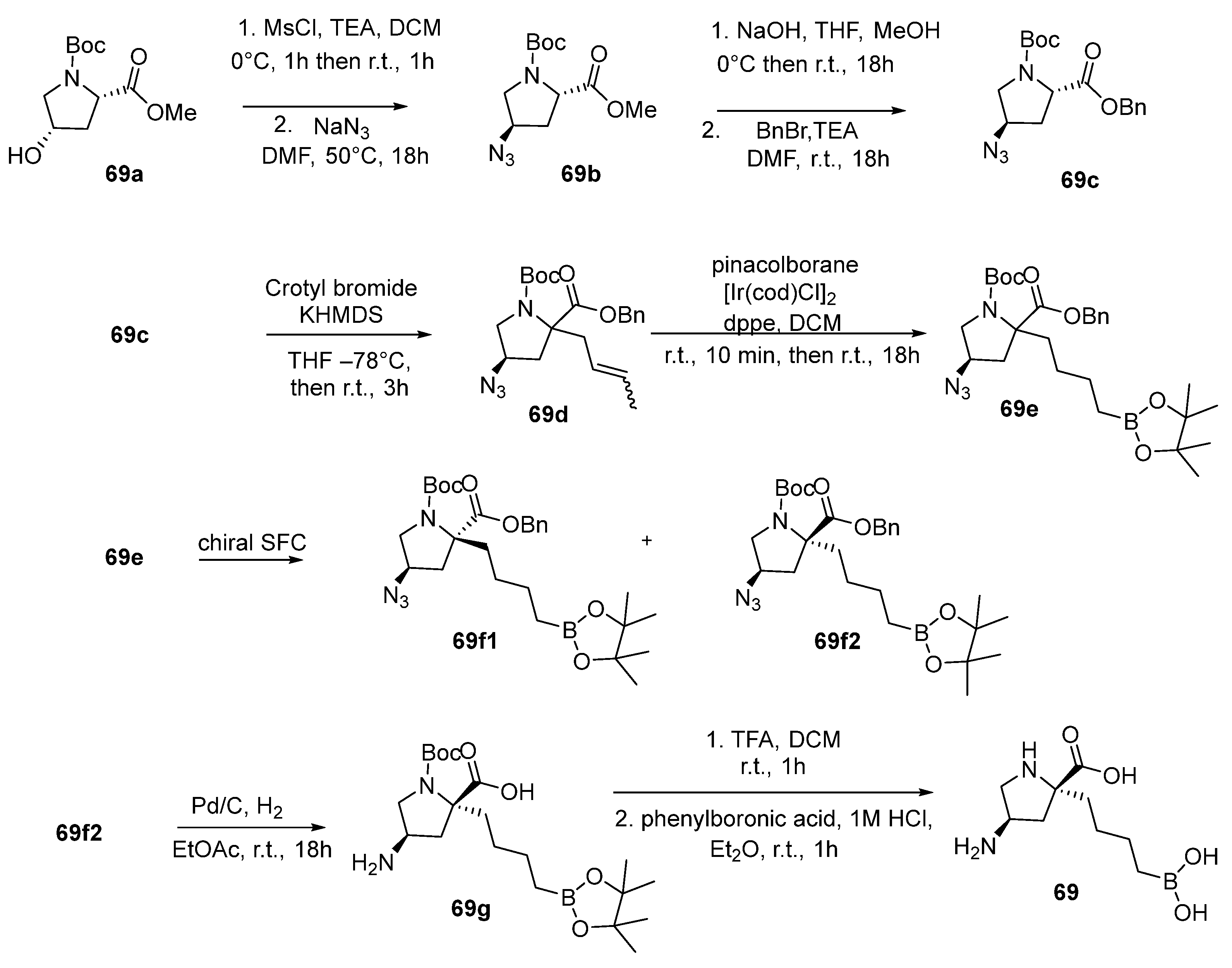 Pharmaceutics 17 00117 sch031