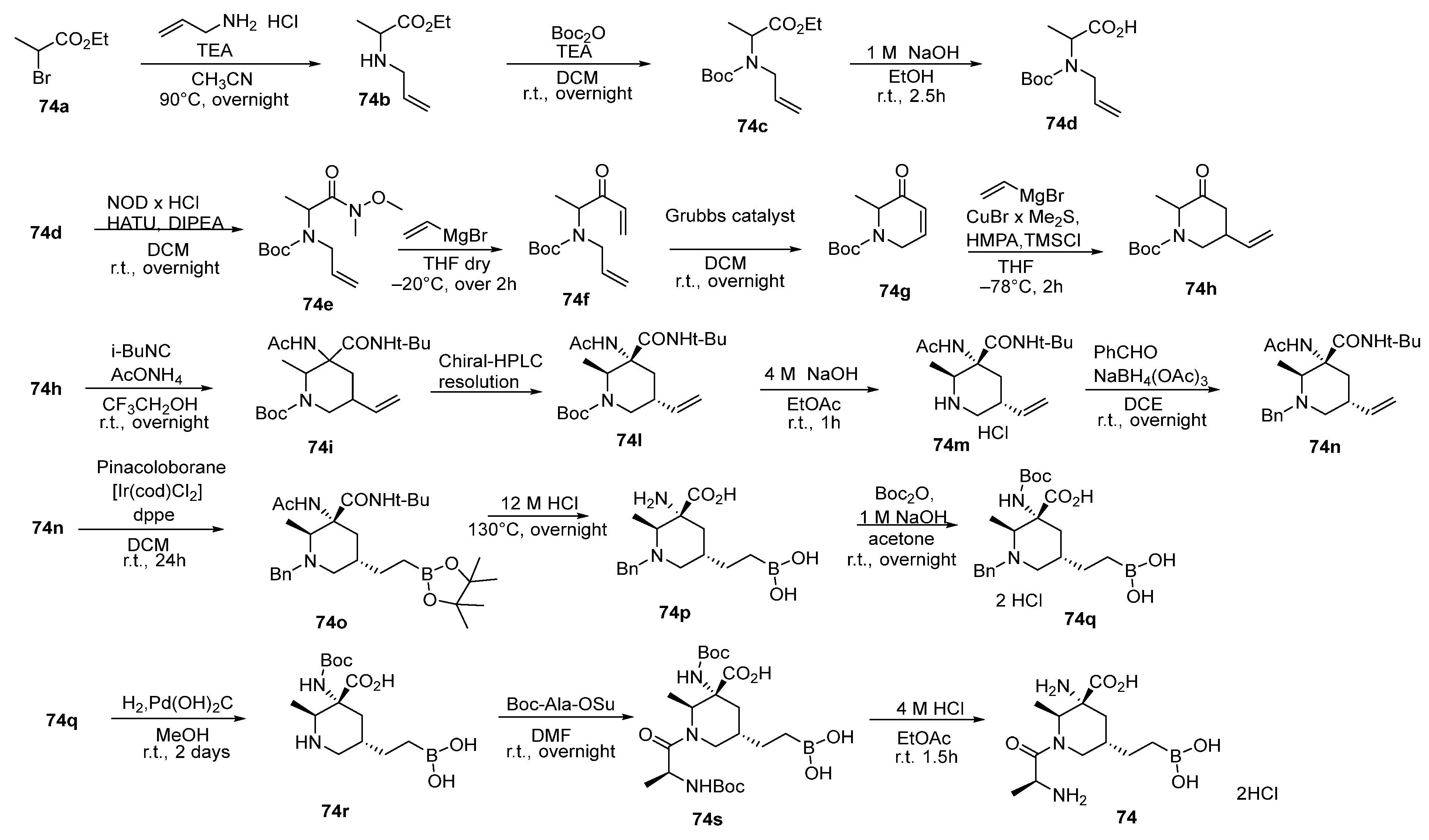 Pharmaceutics 17 00117 sch034