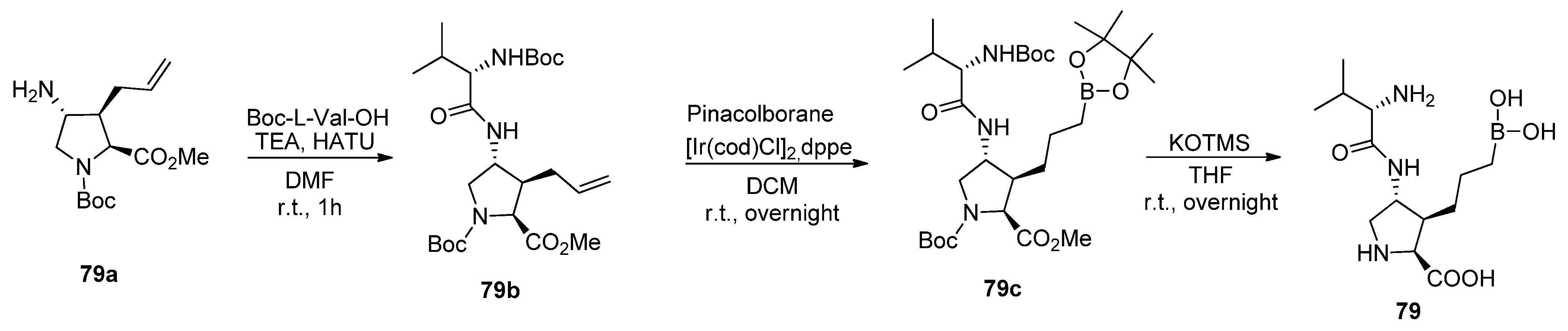 Pharmaceutics 17 00117 sch037