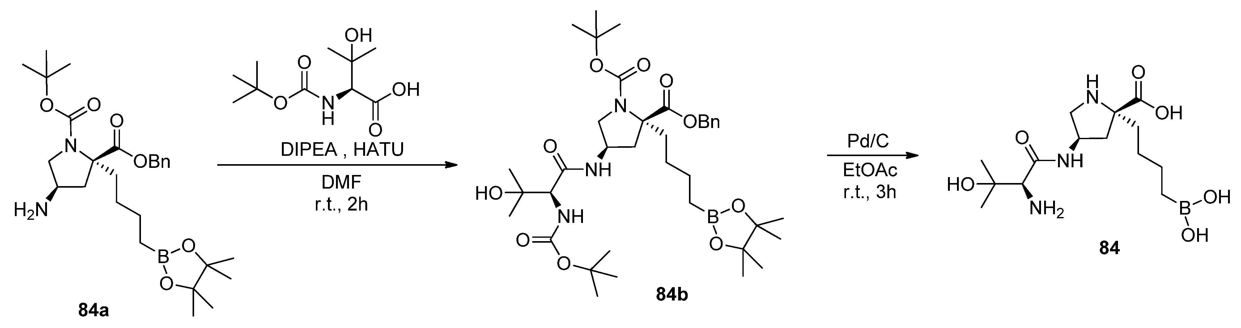 Pharmaceutics 17 00117 sch040