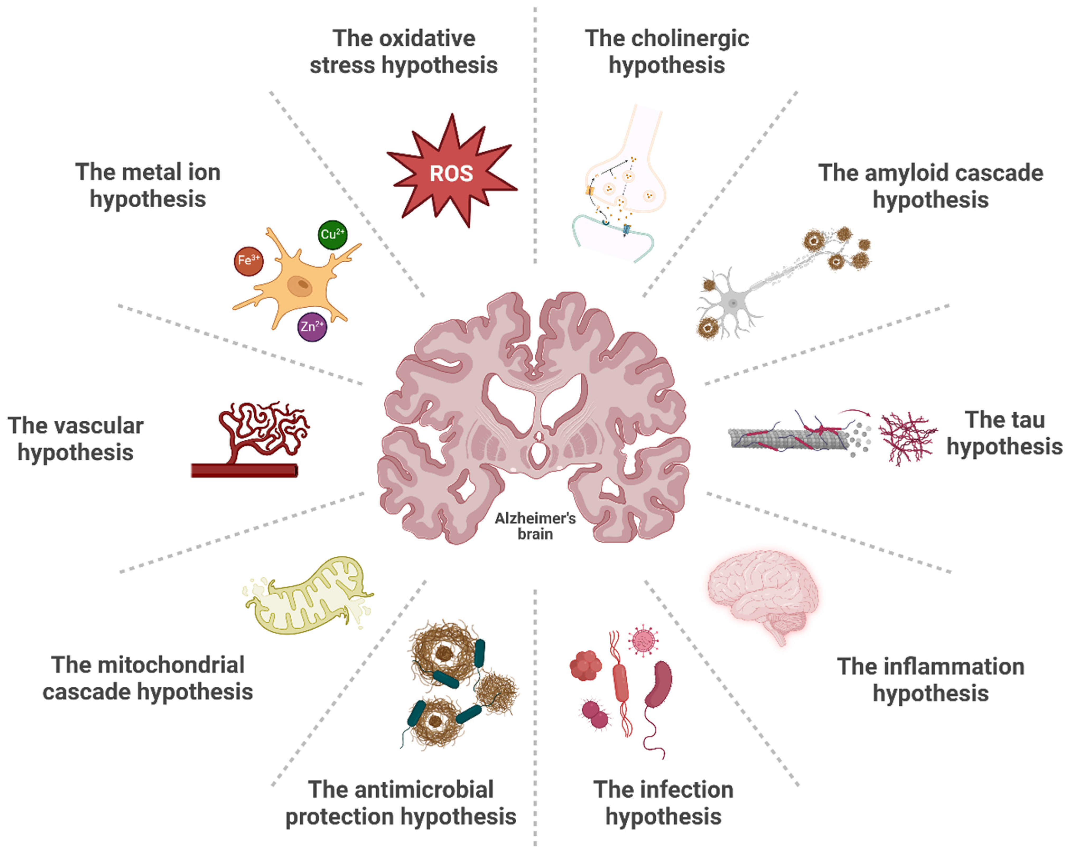 Pharmaceutics 17 00141 g002